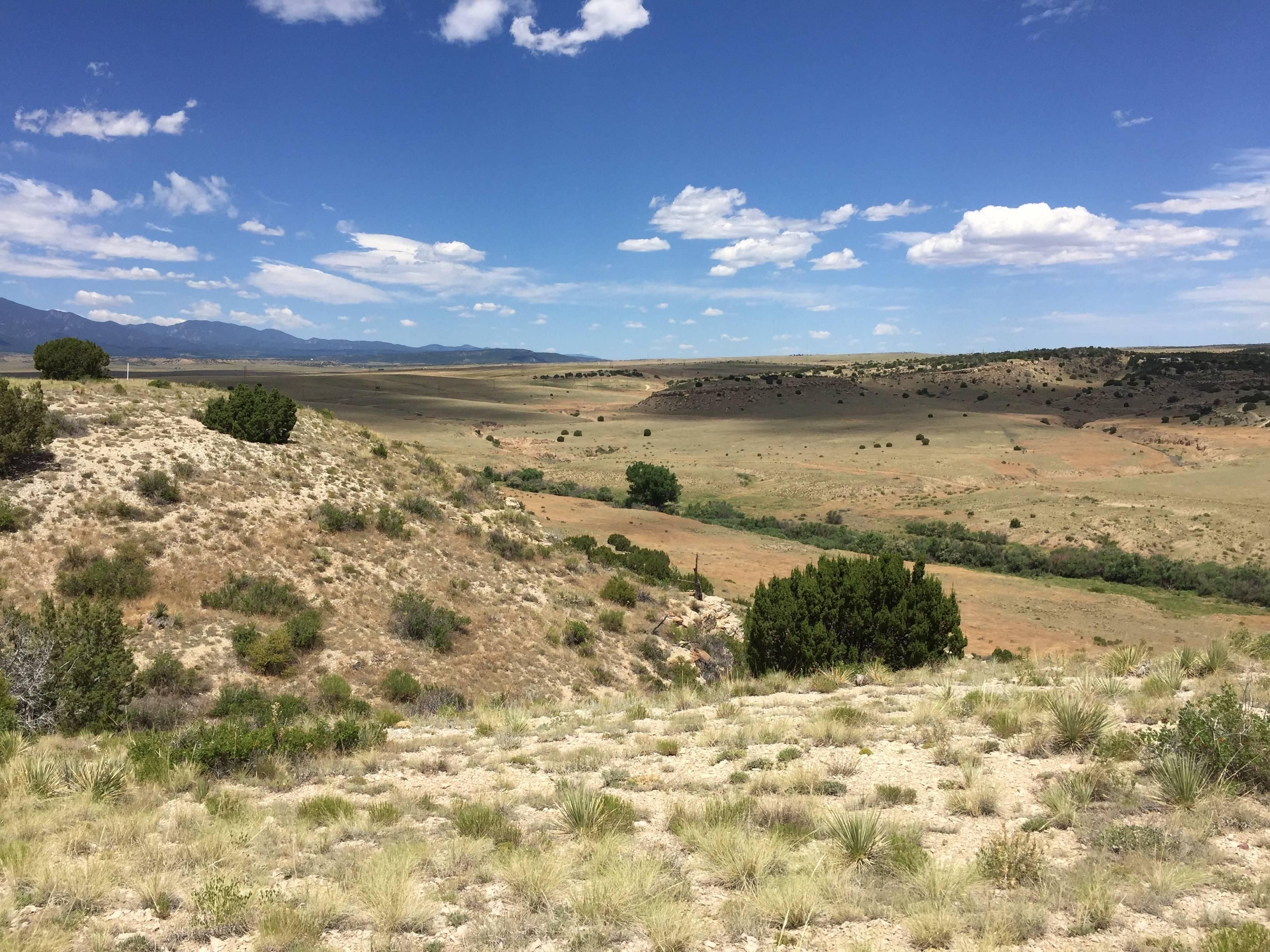 73 acres in Huerfano County, Colorado