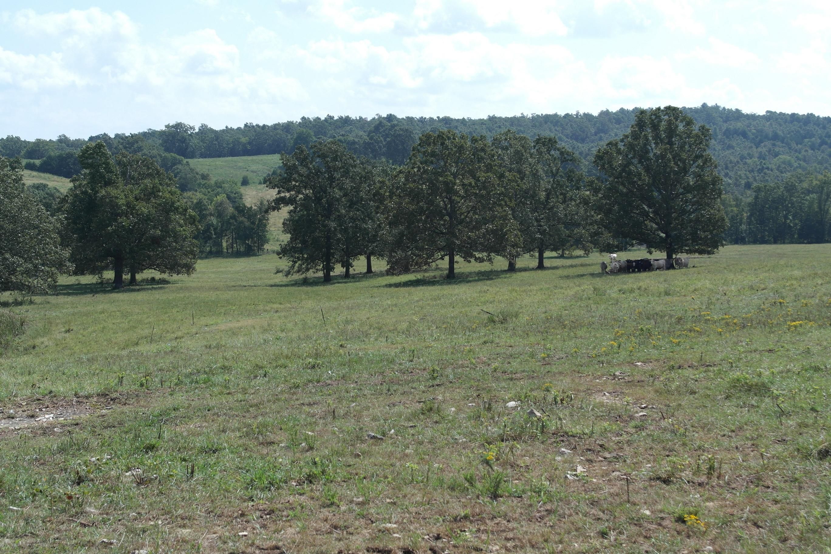 161 acres in Randolph County, Arkansas