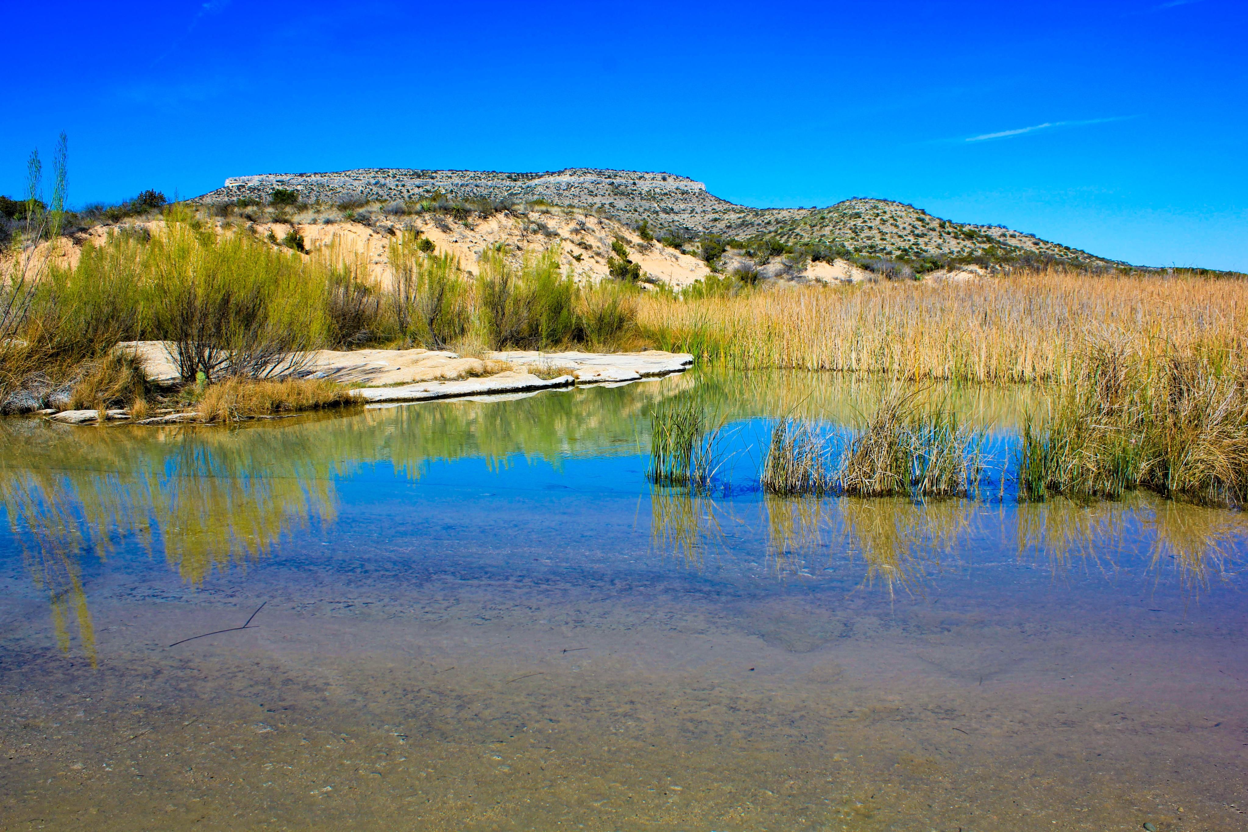 15,395 acres in Crockett County, Texas