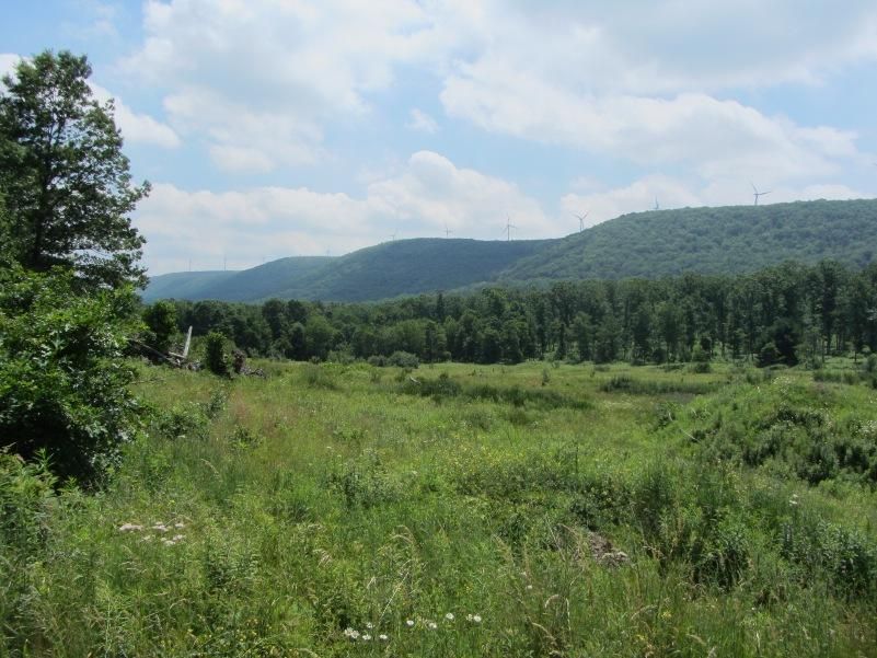 55 acres in Schuylkill County, Pennsylvania