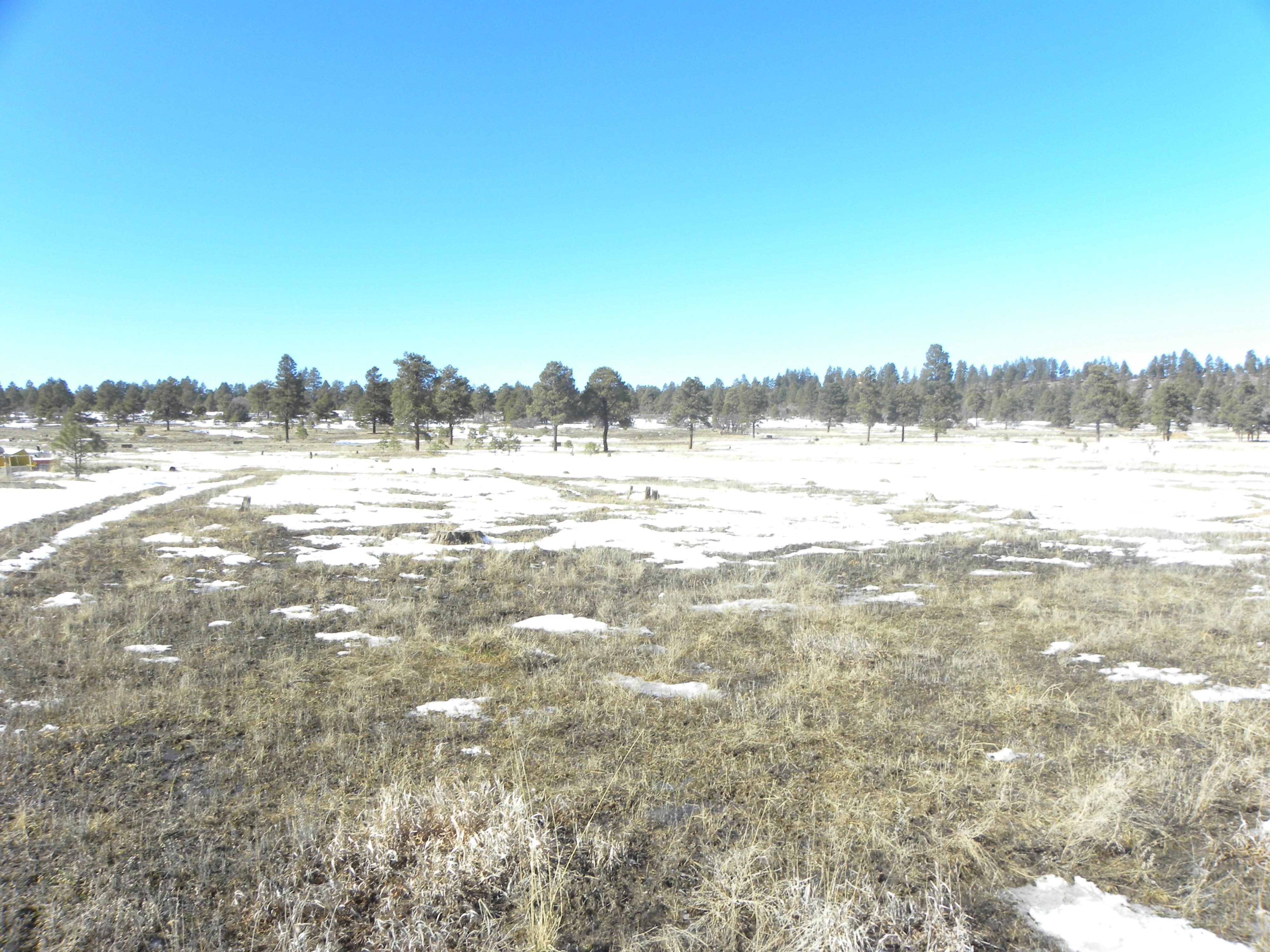 0.86 acres in Archuleta County, Colorado