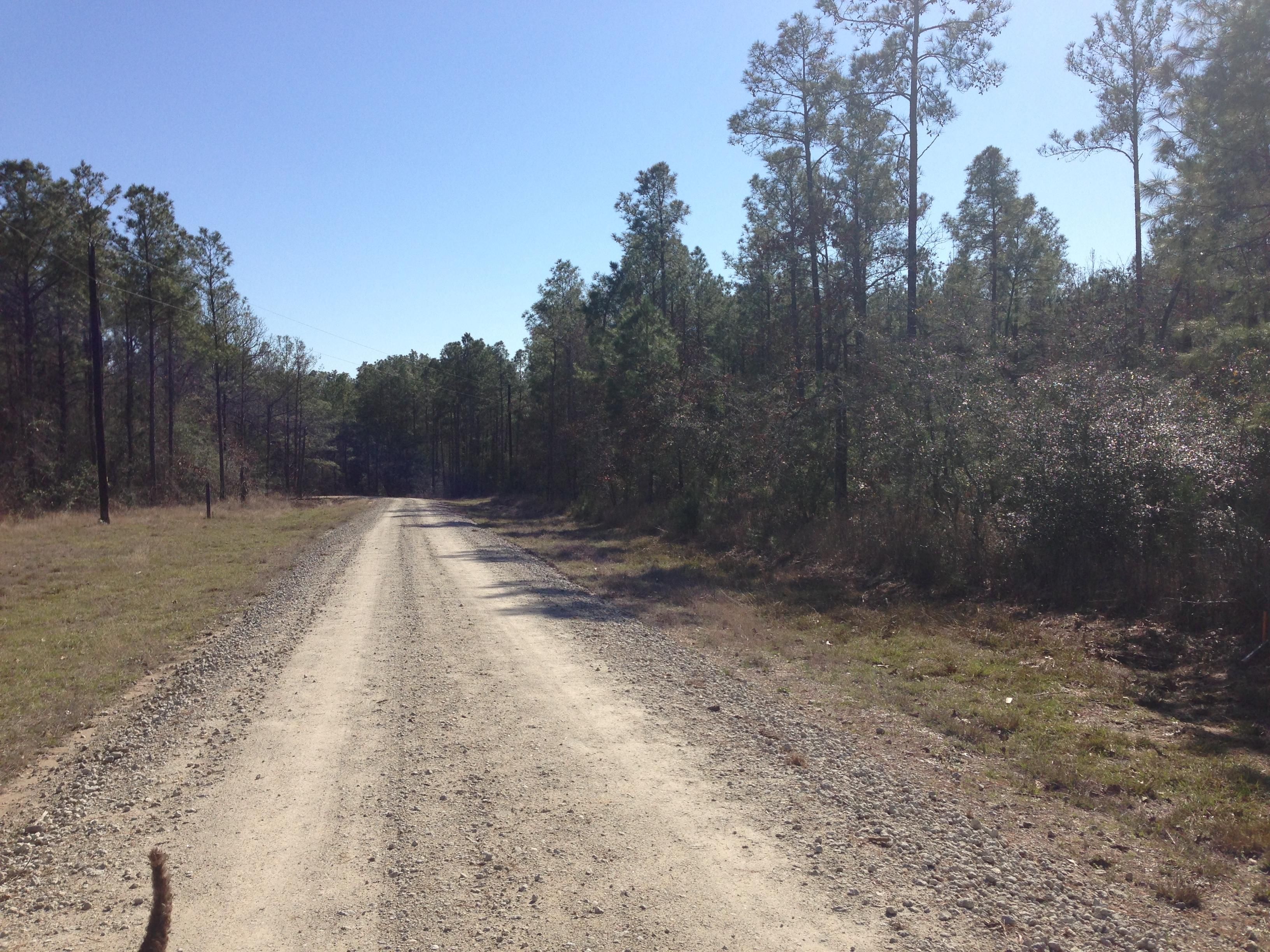 11.15 acres in Grimes County, Texas