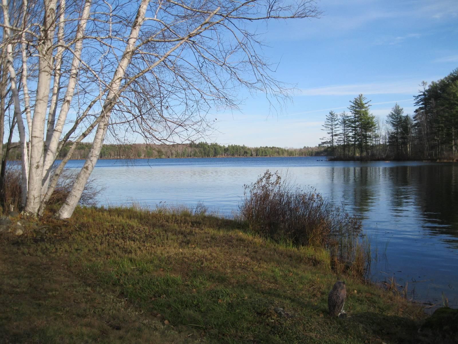 5 acres in Franklin County, Maine