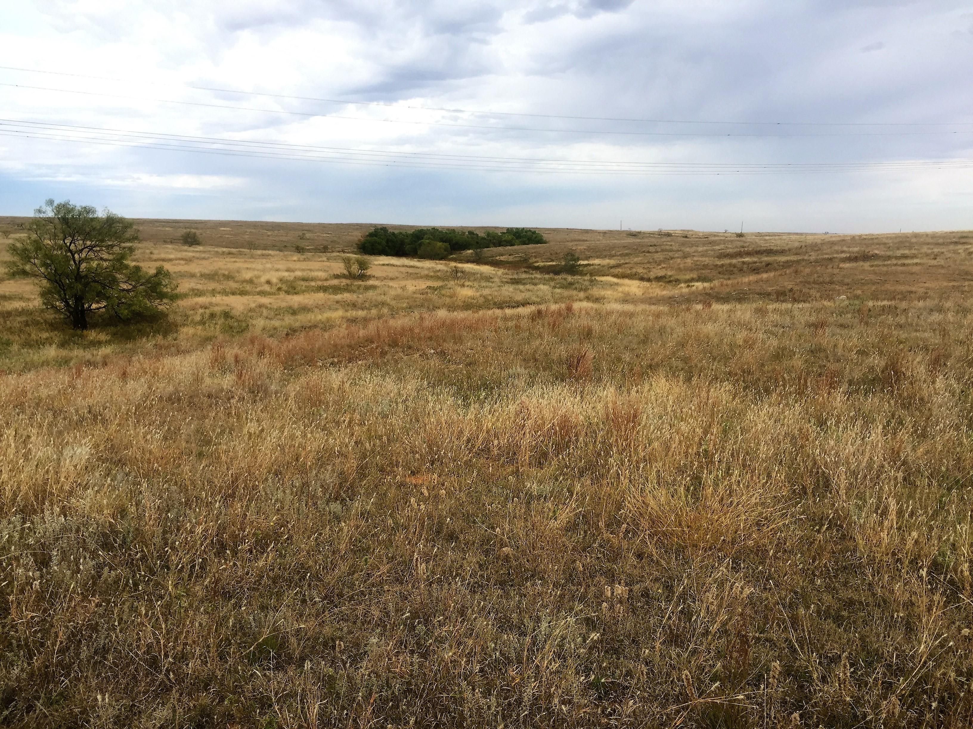 320 acres in Wheeler County, Texas