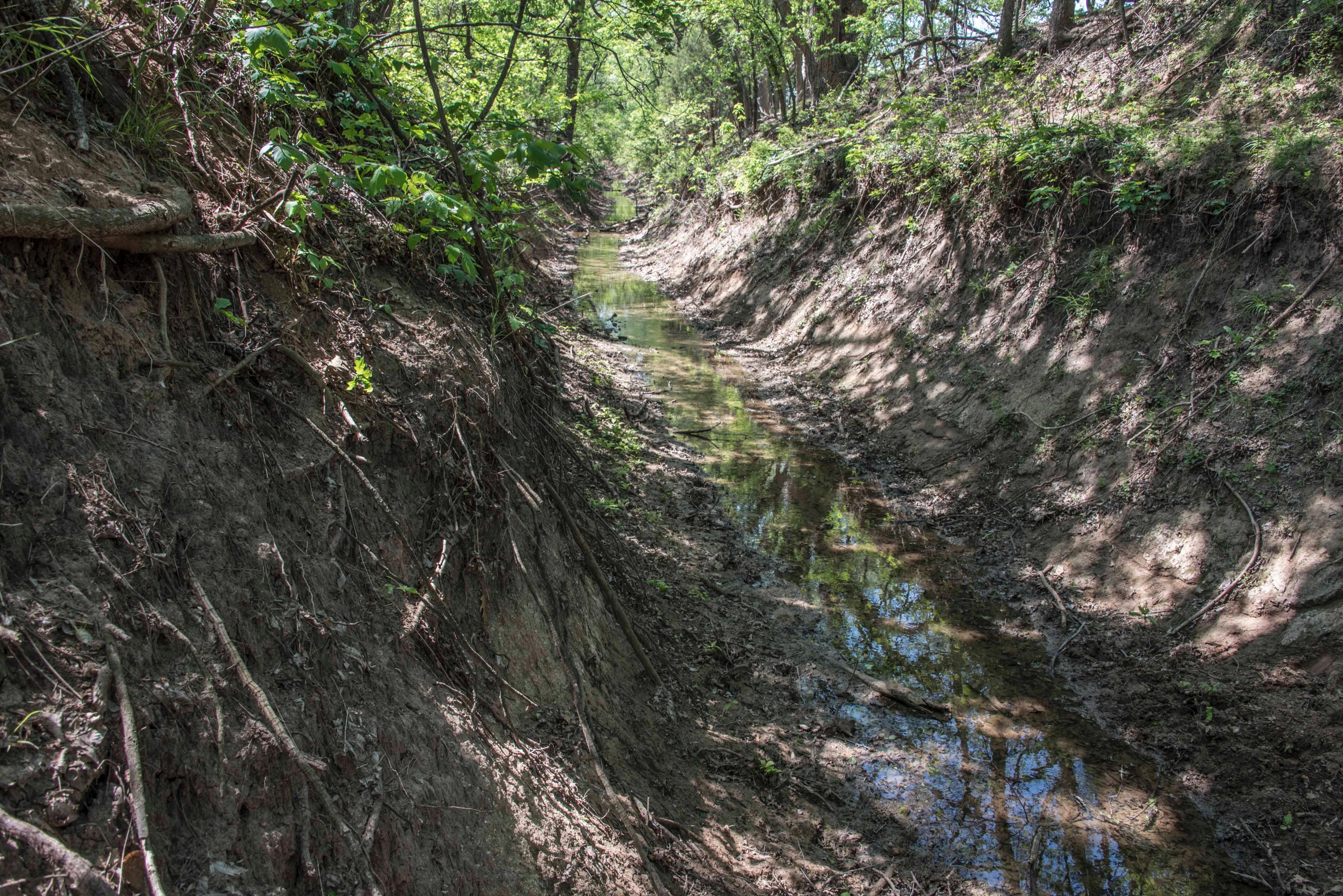 110 acres in Love County, Oklahoma
