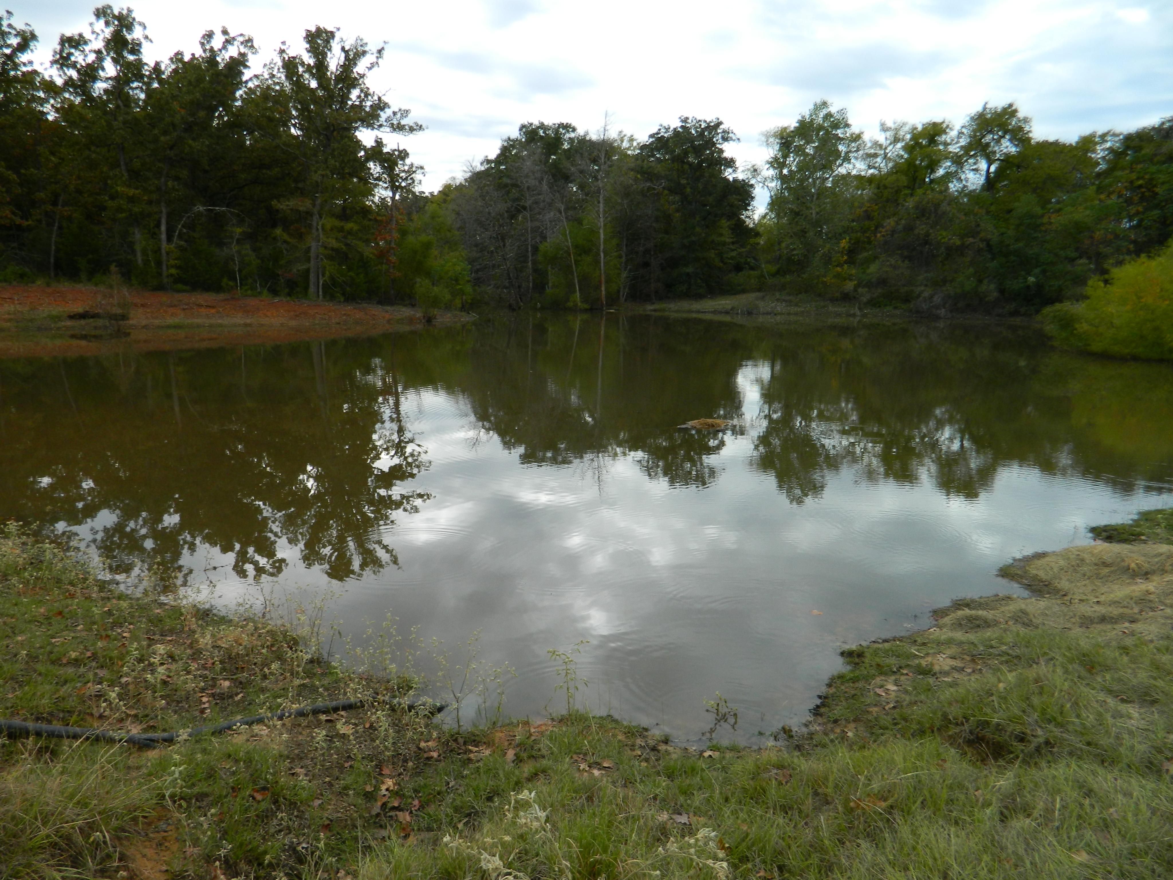 35 acres in Limestone County, Texas