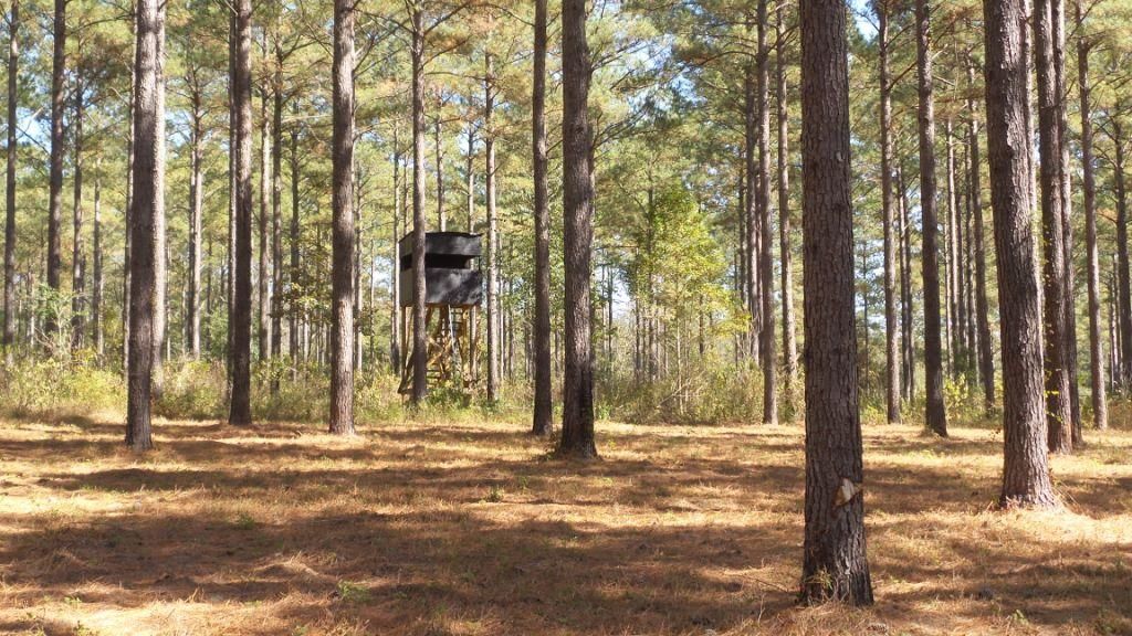 316 acres in Pike County, Alabama