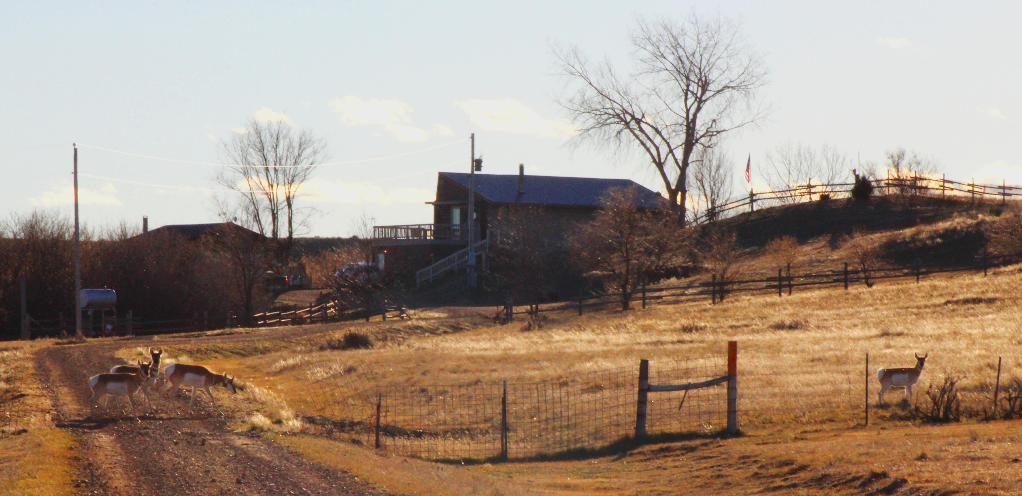 40 acres in Powder River County, Montana