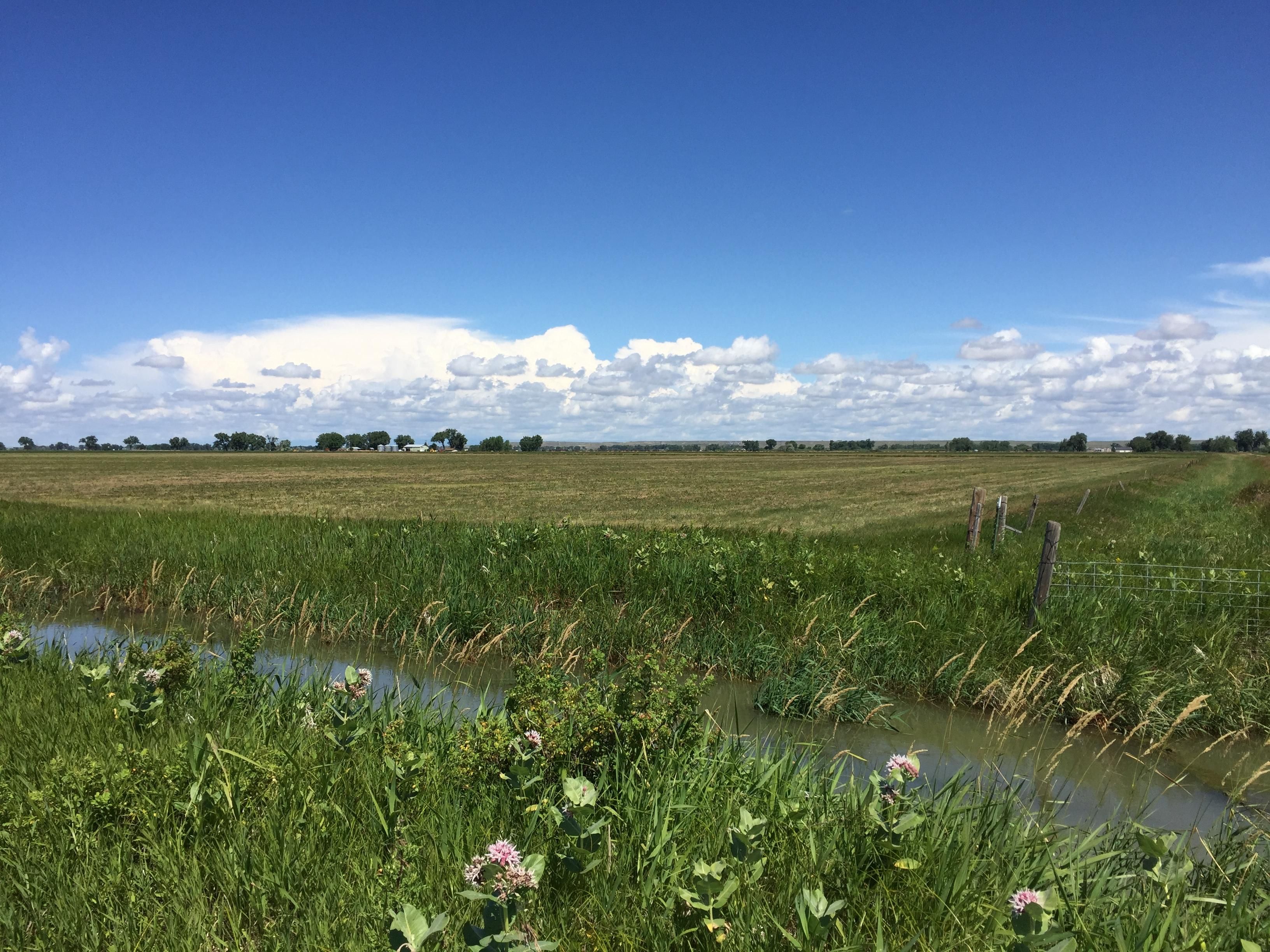 320 acres in Blaine County, Montana