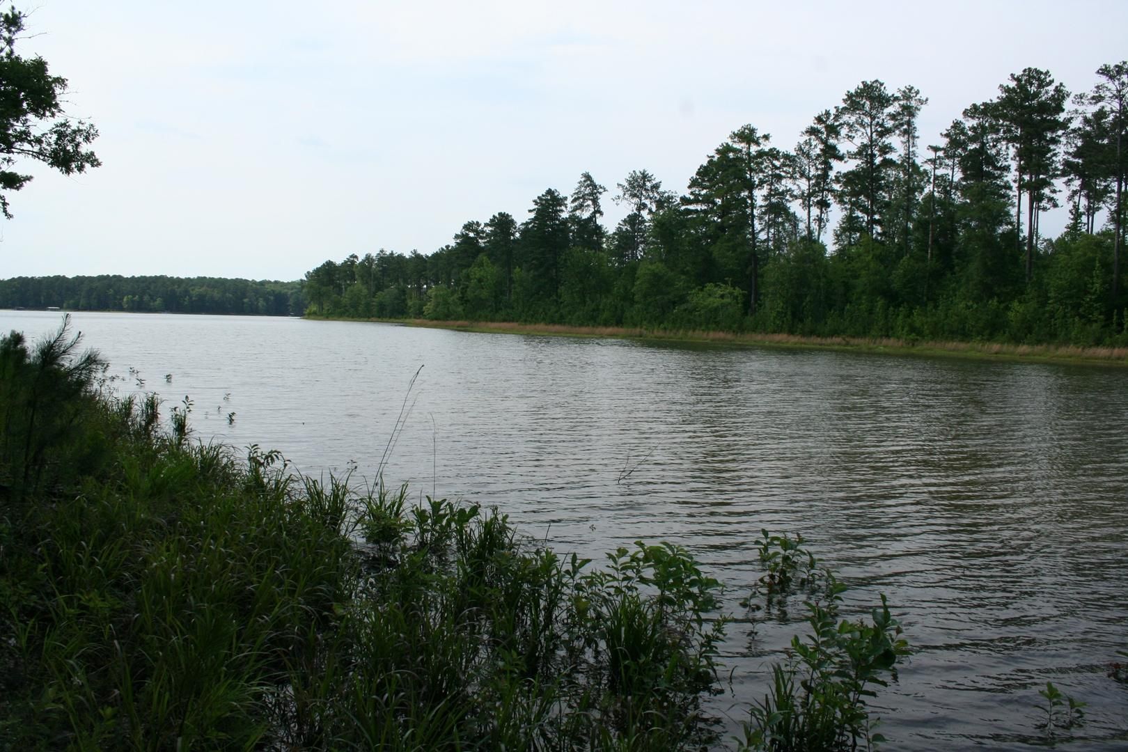 30 acres in Lincoln County,