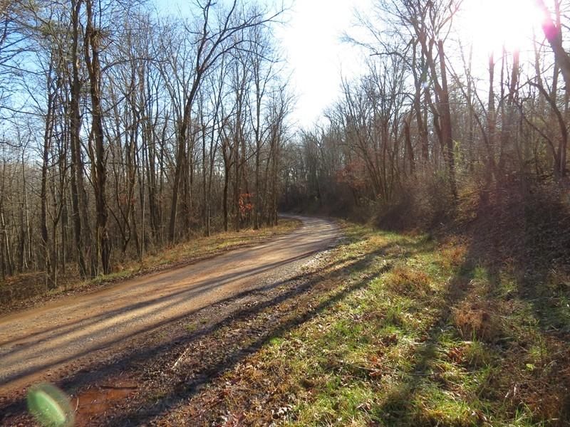 50 acres in Calhoun County, West Virginia