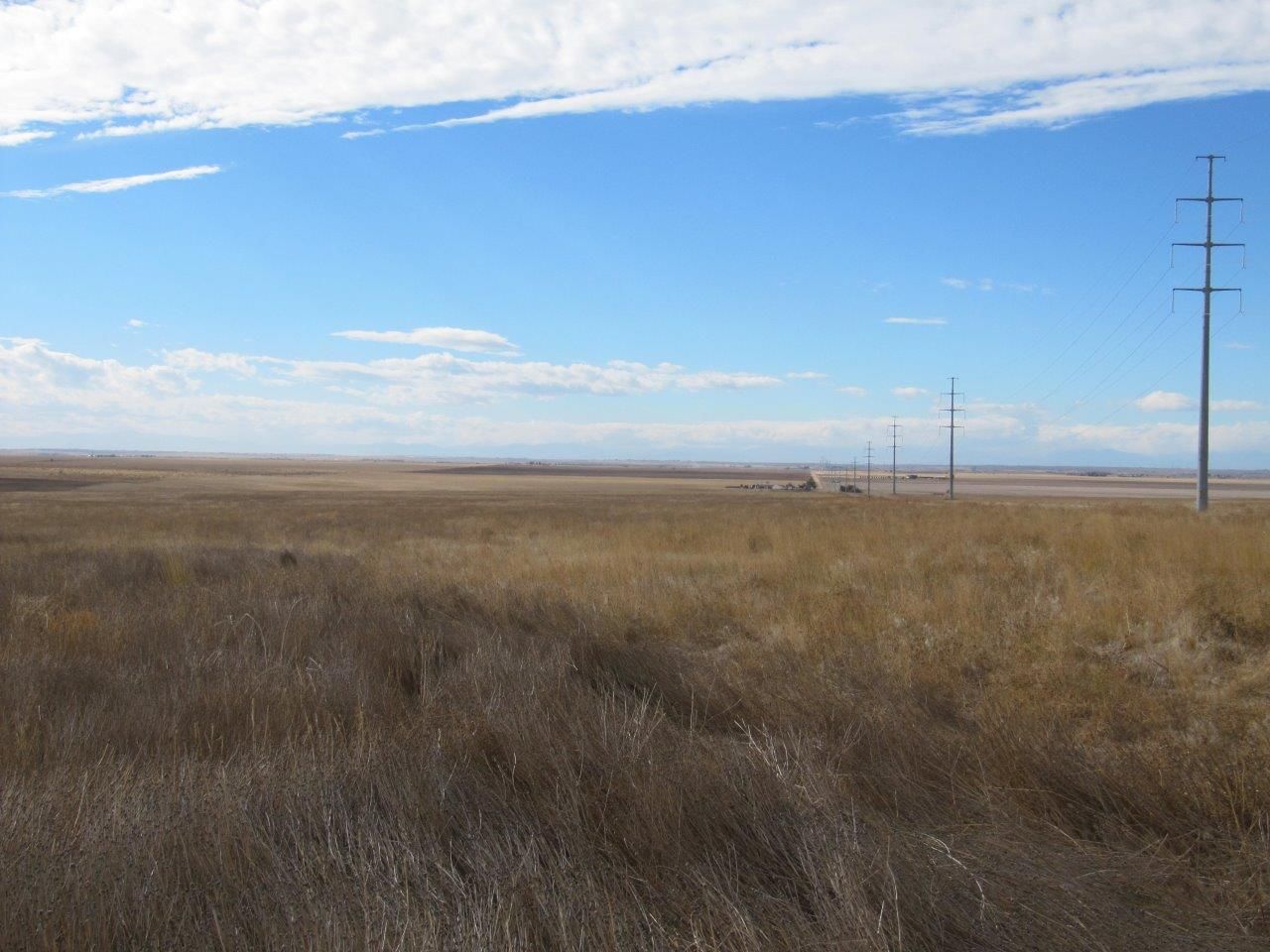 156 acres in Weld County, Colorado