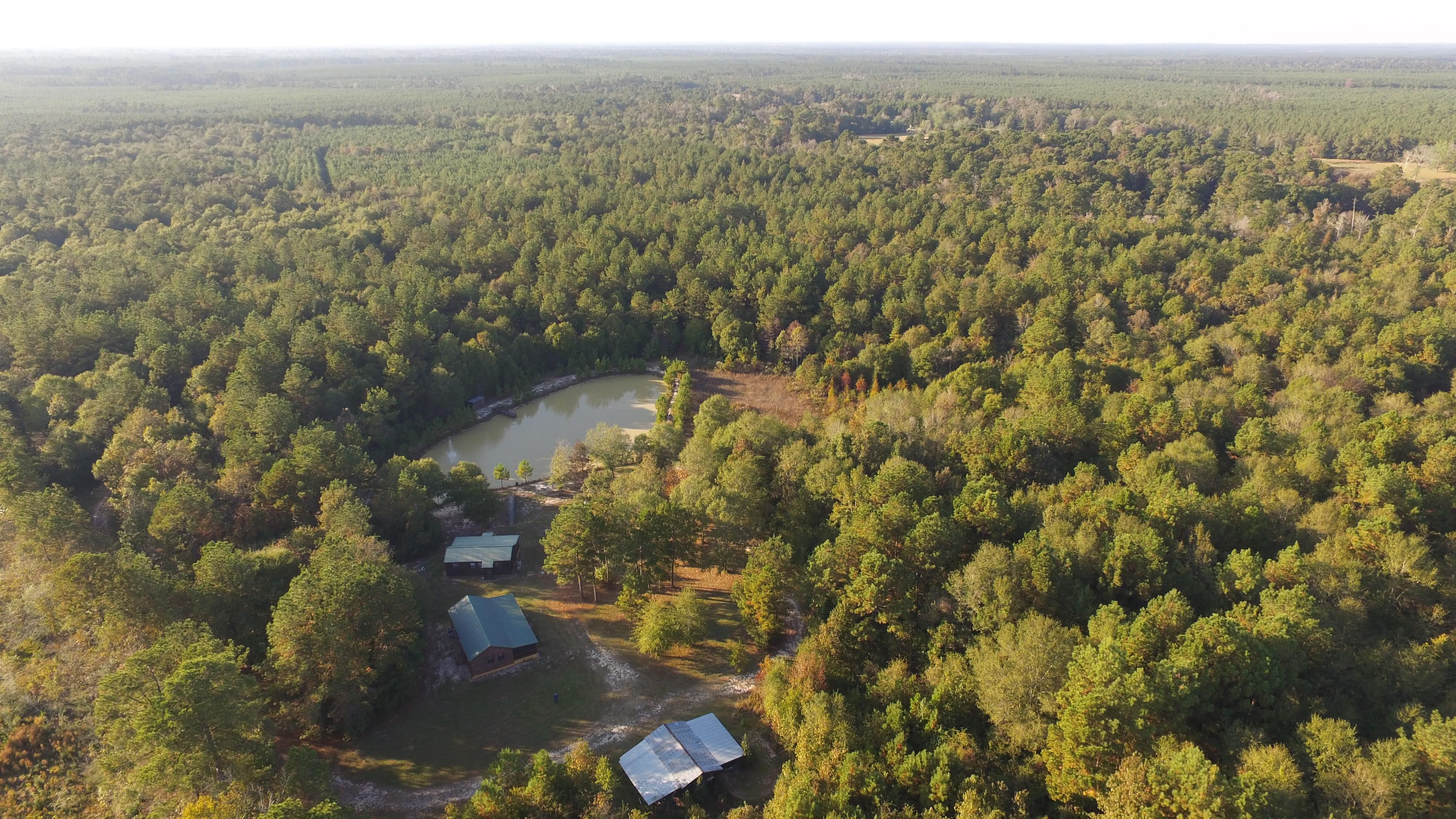 124 acres in Newton County, Texas