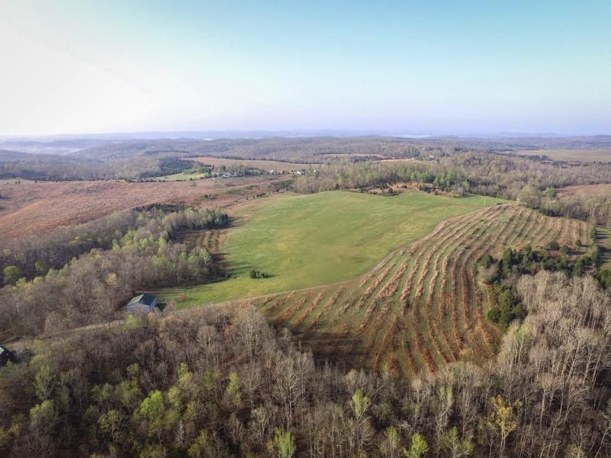 733 acres in Butler County, Kentucky