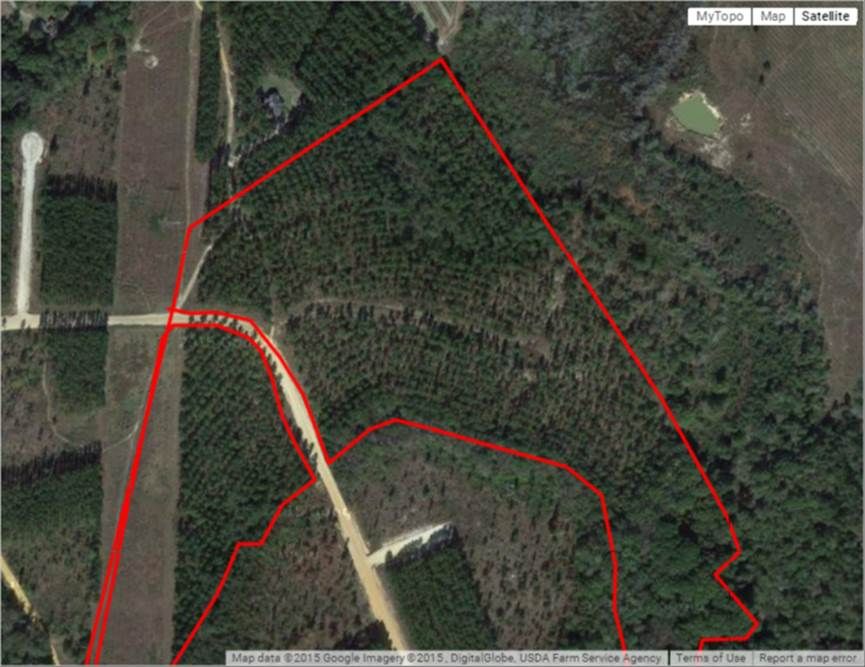 38 acres in Toombs County,