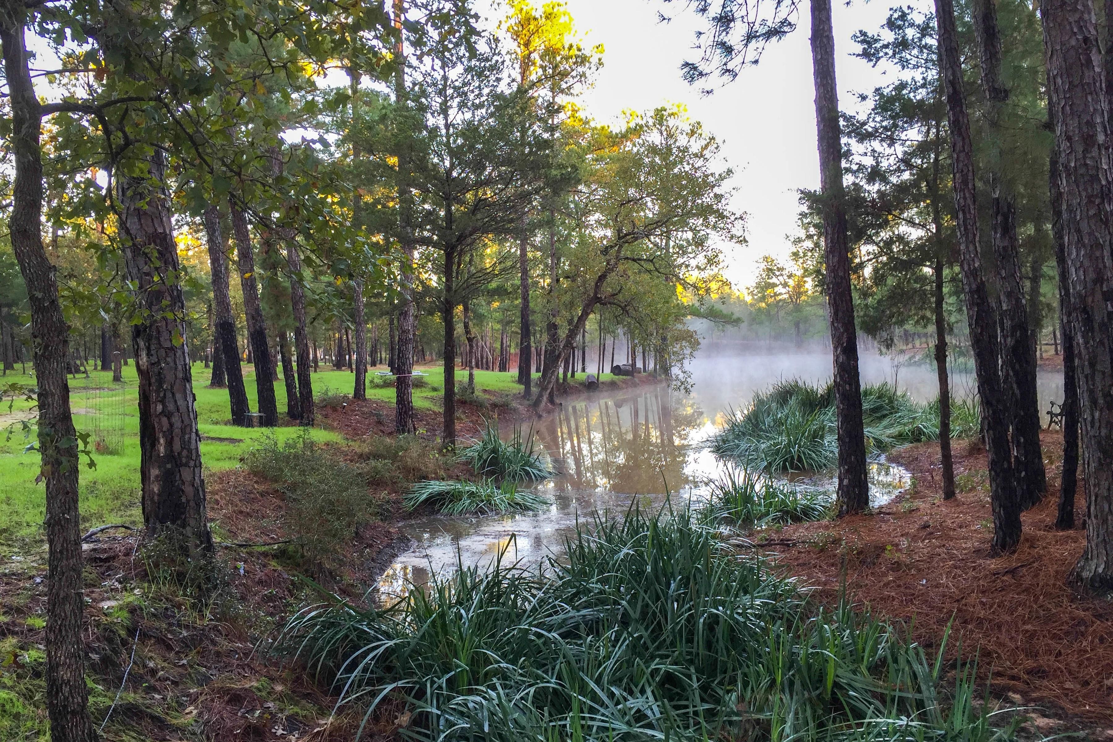 200.00 acres in Bastrop County, Texas