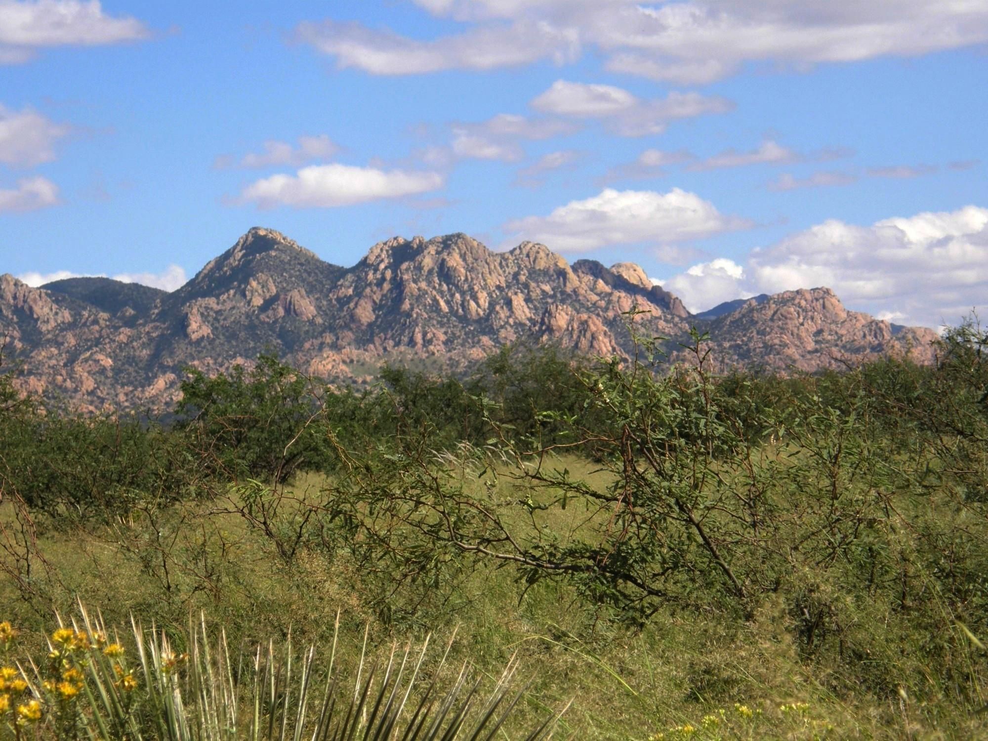 108.00 acres in Cochise County, Arizona