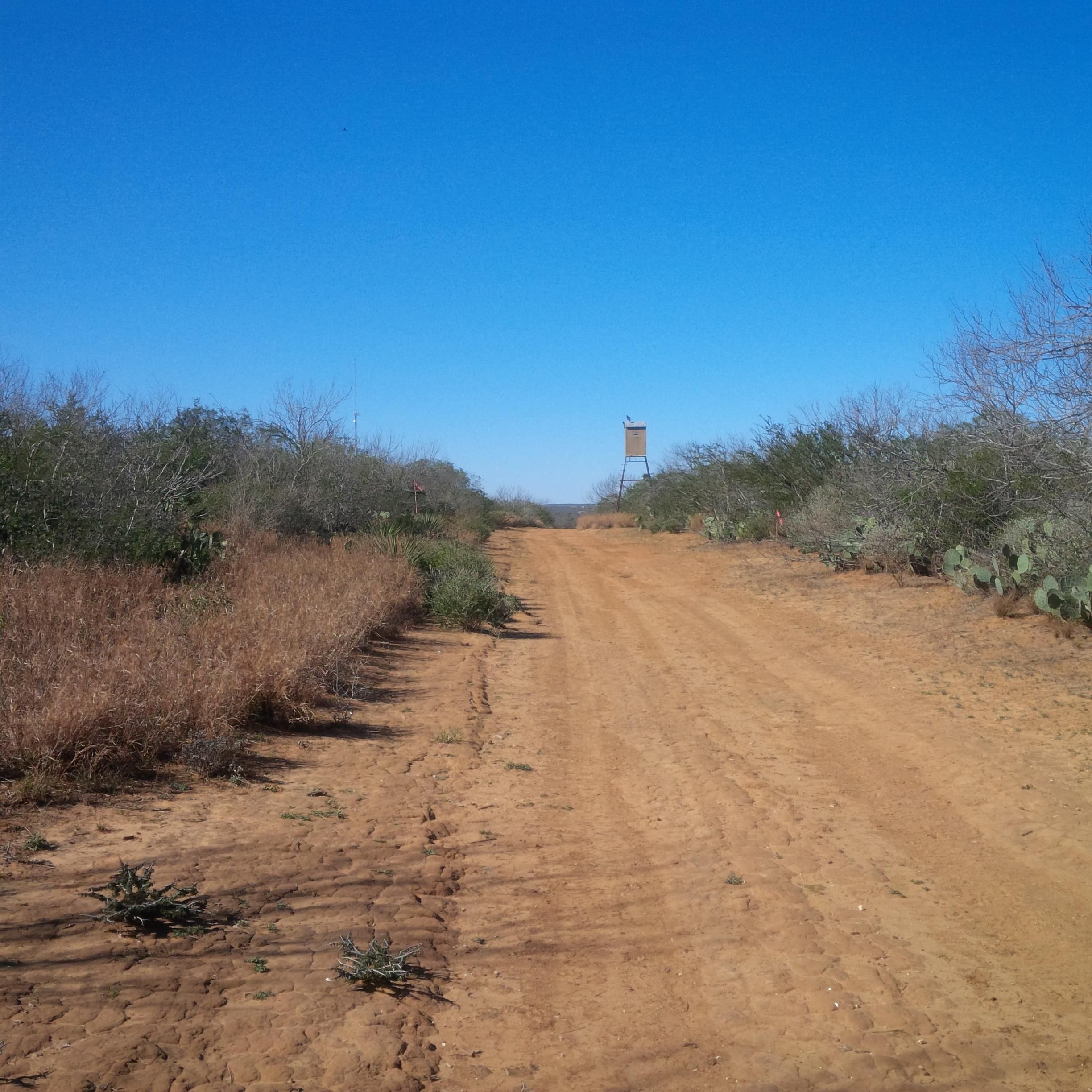 13.01 acres in b County, Texas