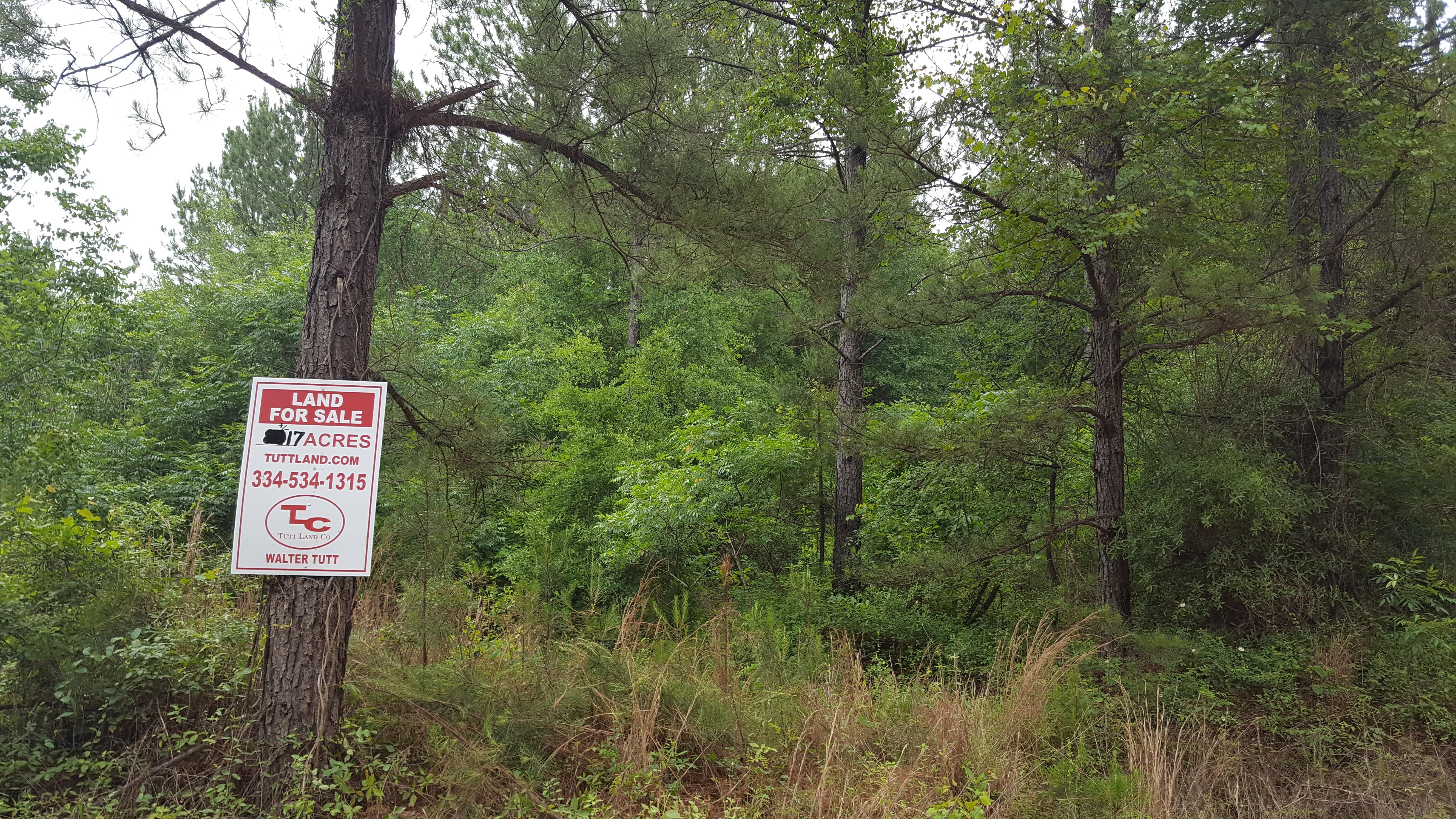 17 acres in Clarke County, Alabama