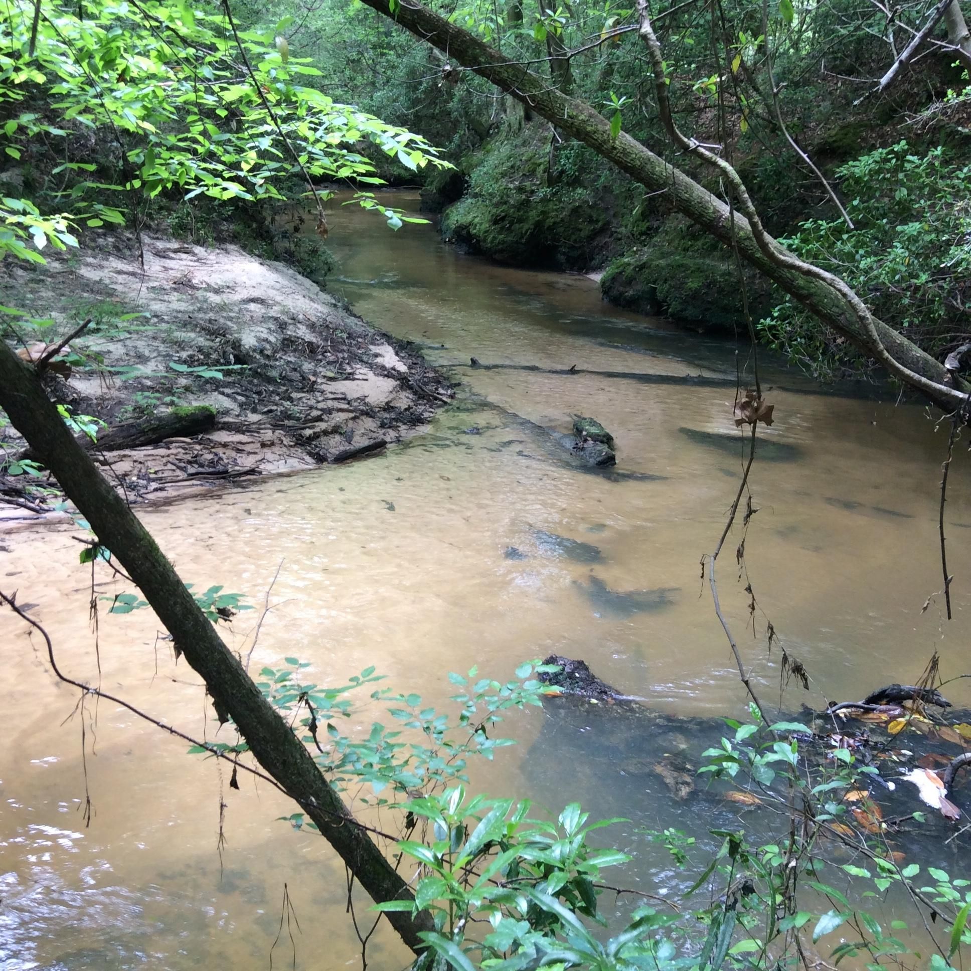 84 acres in Covington County, Alabama