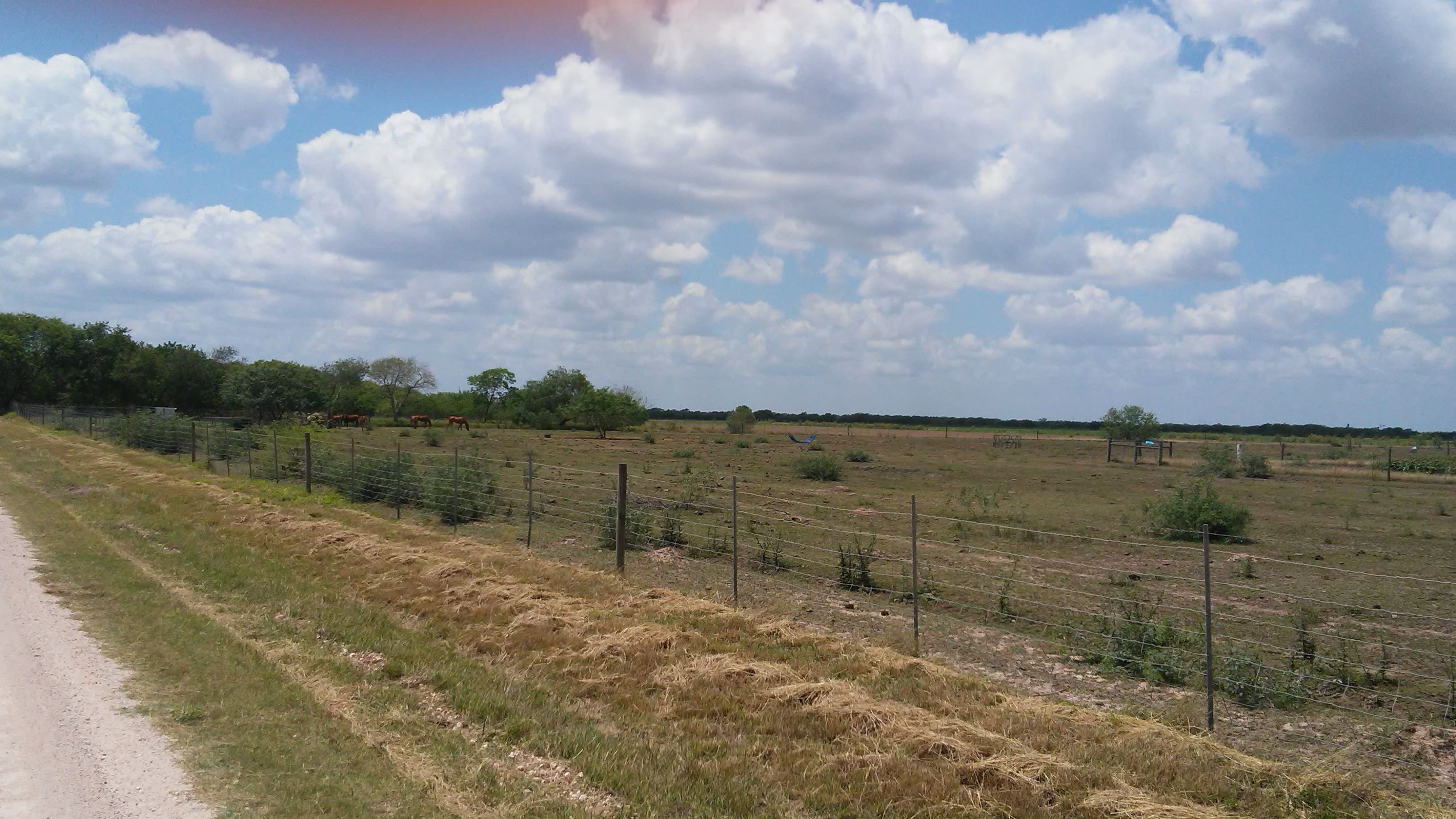 16.39 acres in Cameron County, Texas