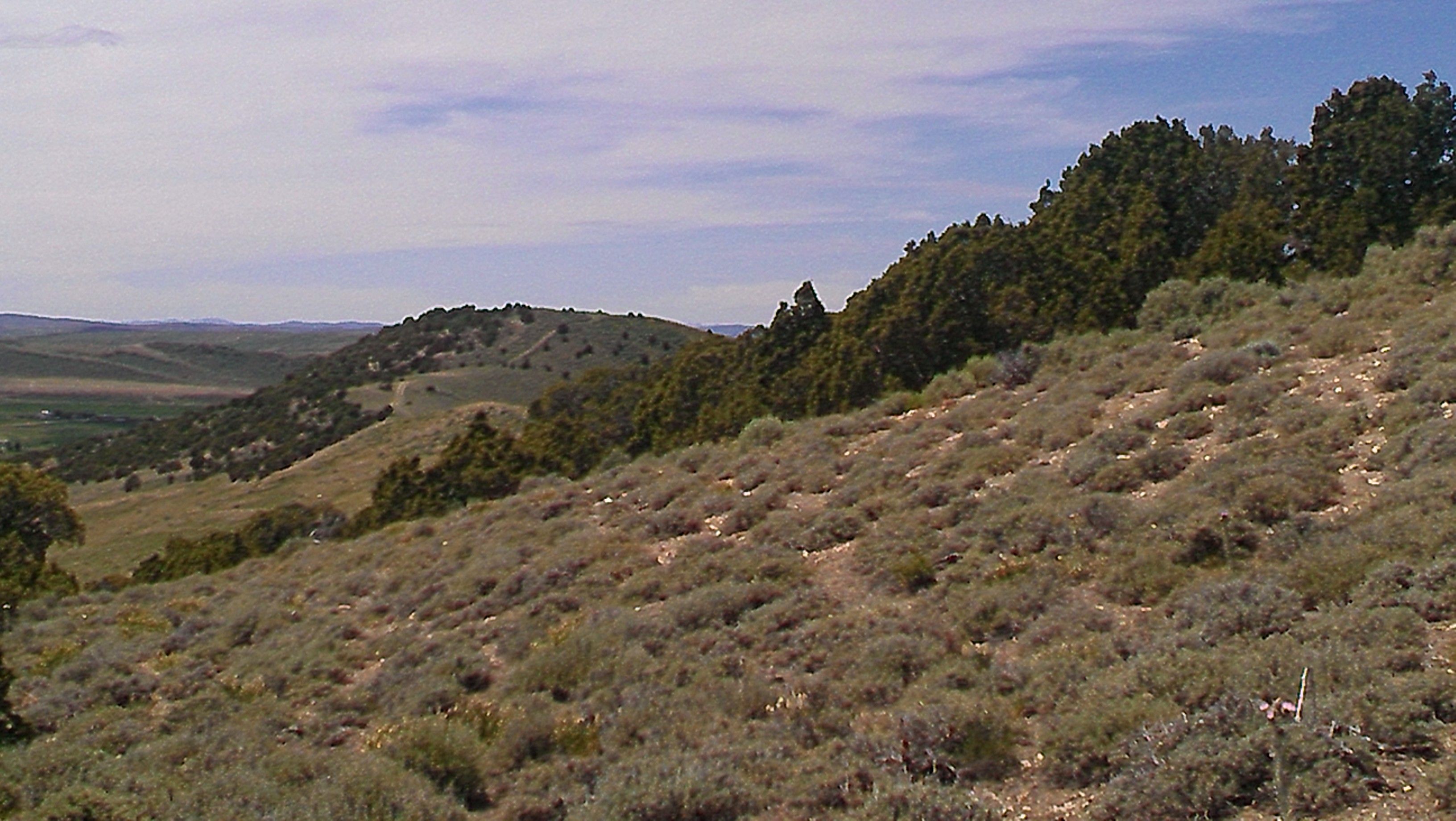 38 acres in Uinta County, Wyoming