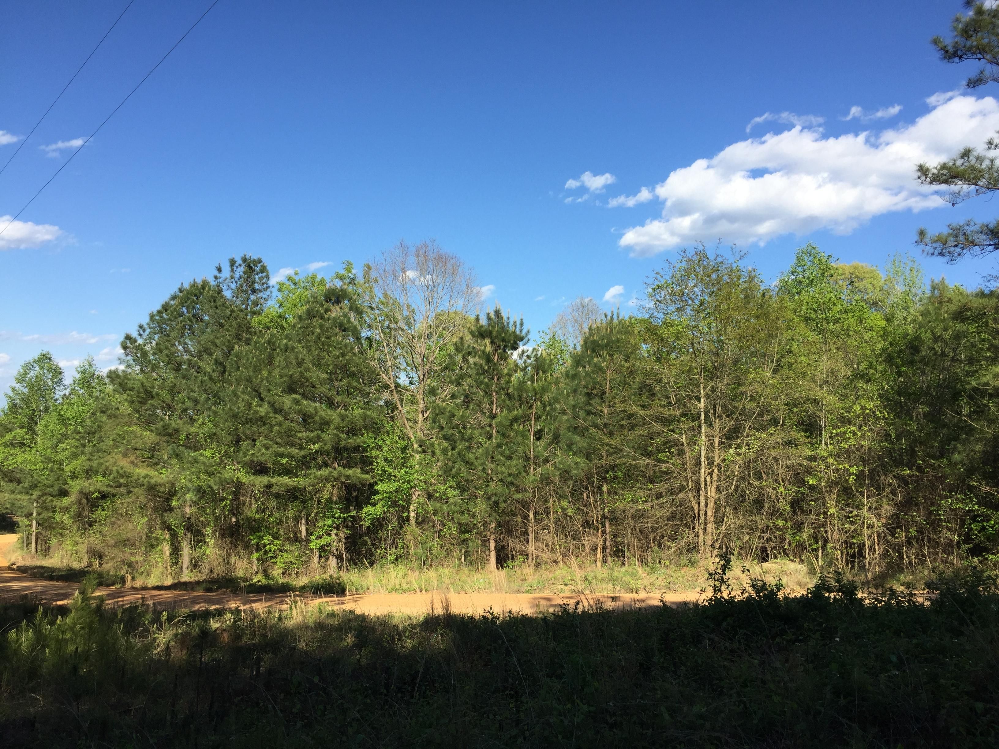 4.5 acres in Chilton County, Alabama