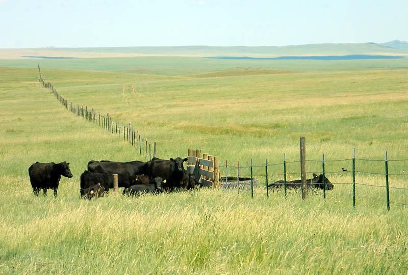 6,383 acres in Carter County, Montana