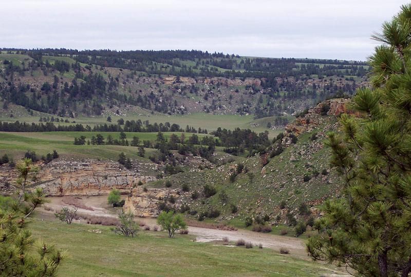 1,450 acres in Fall River County, South Dakota