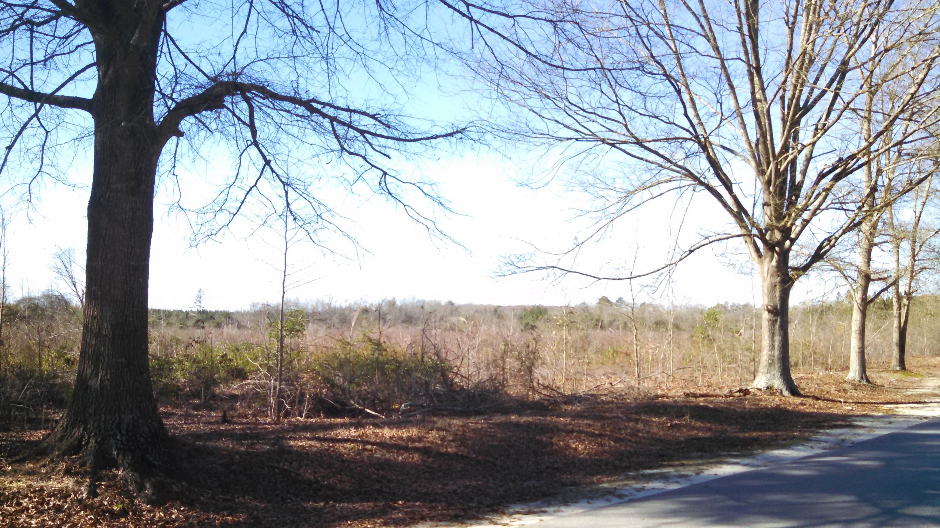 60.83 acres in Scotland County, North Carolina