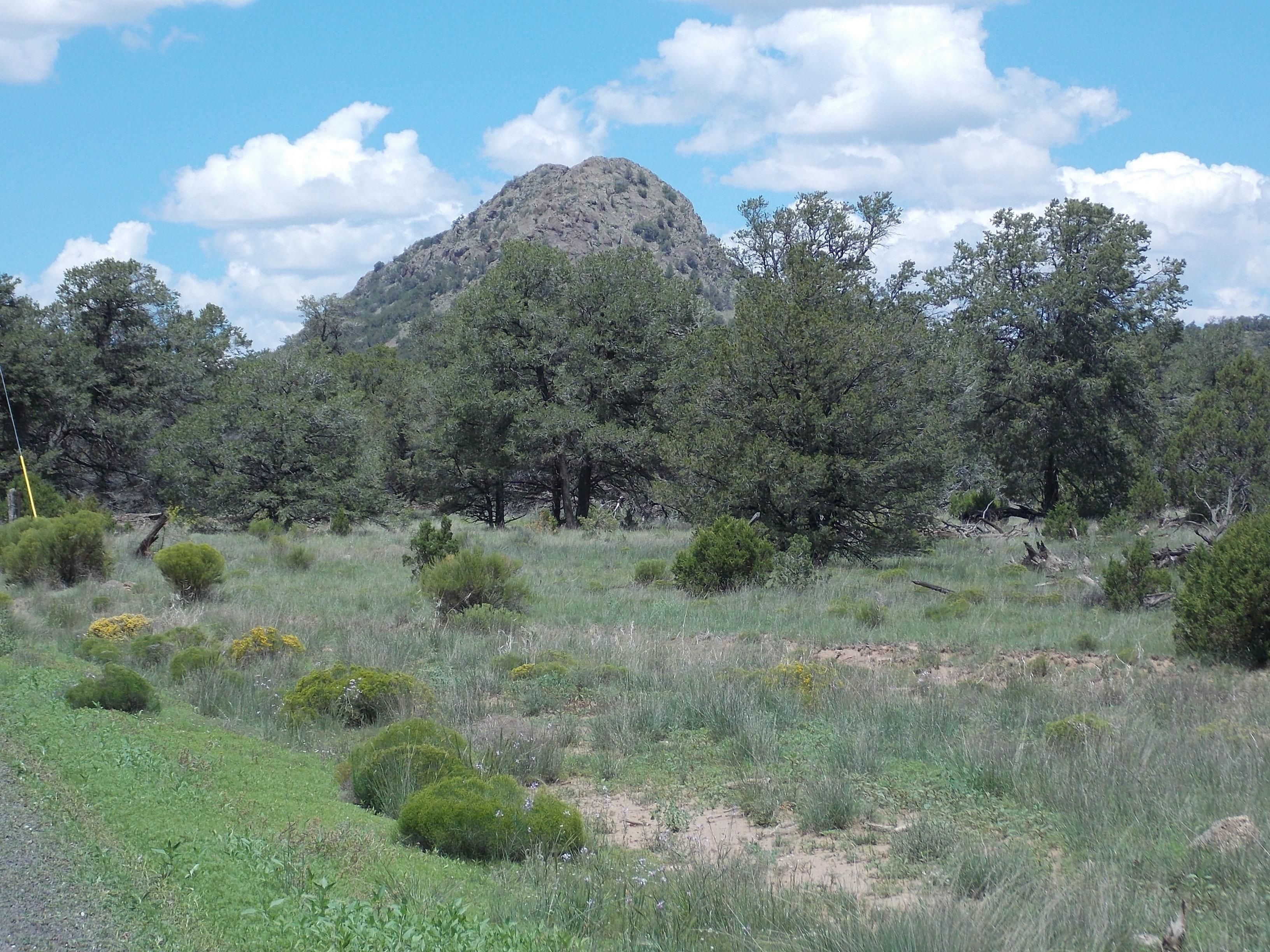 300 acres in Cibola County, New Mexico