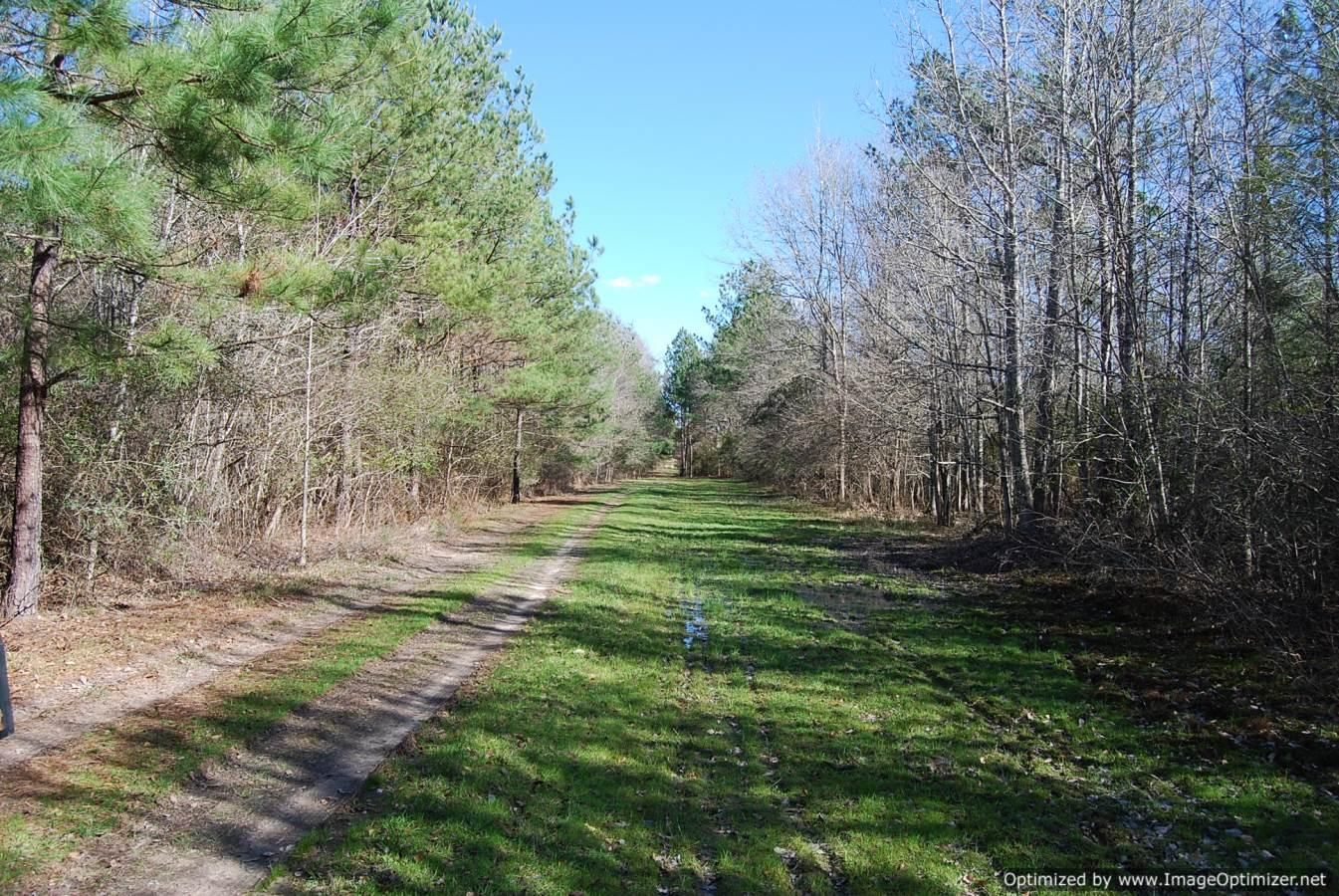 212 acres in Pearl River County, Mississippi