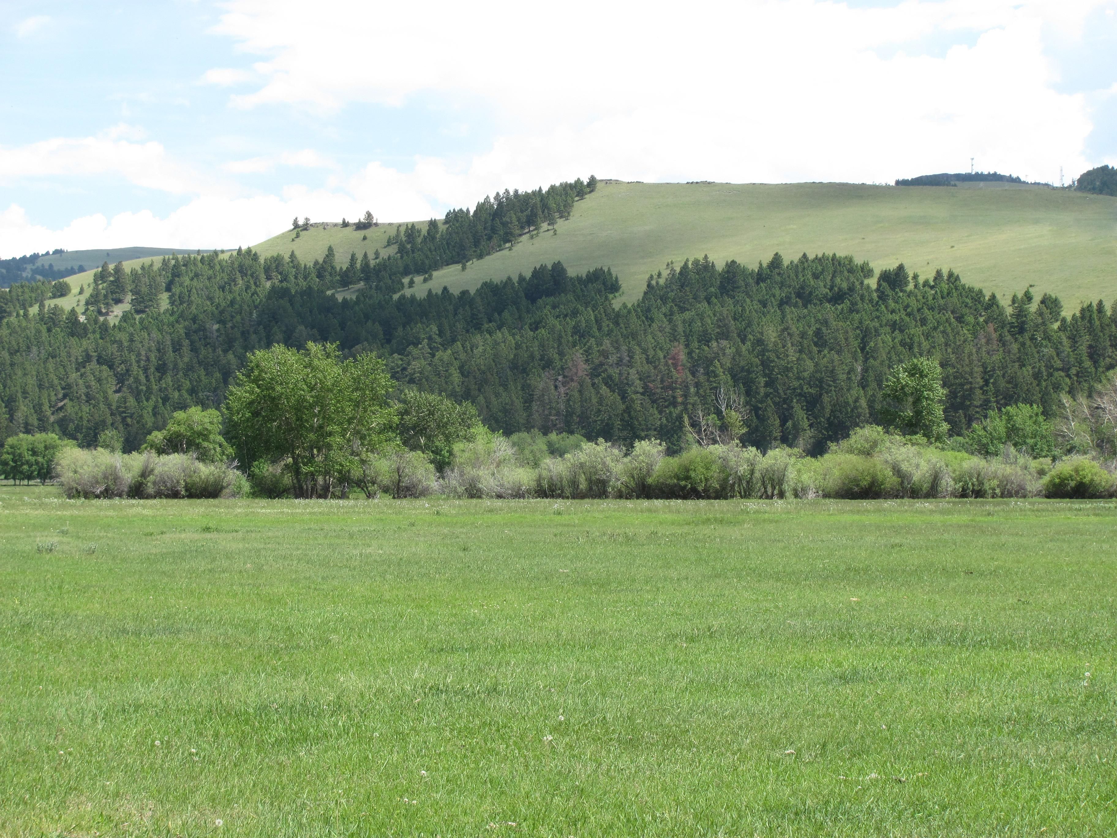 1,201 acres in Powell County, Montana