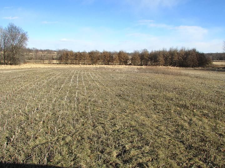 23.3 acres in Knox County, Missouri