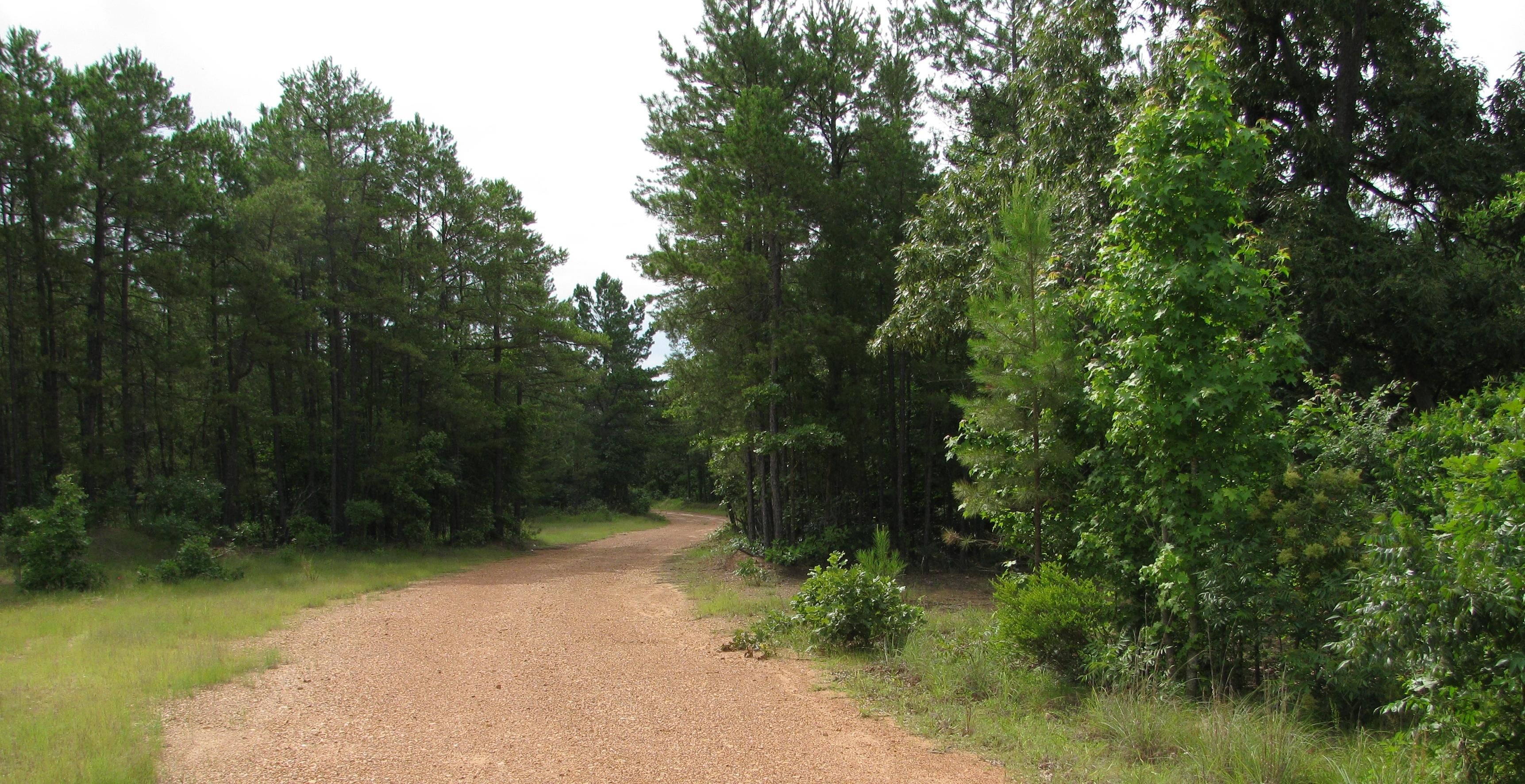755 acres in Bowie County, Texas