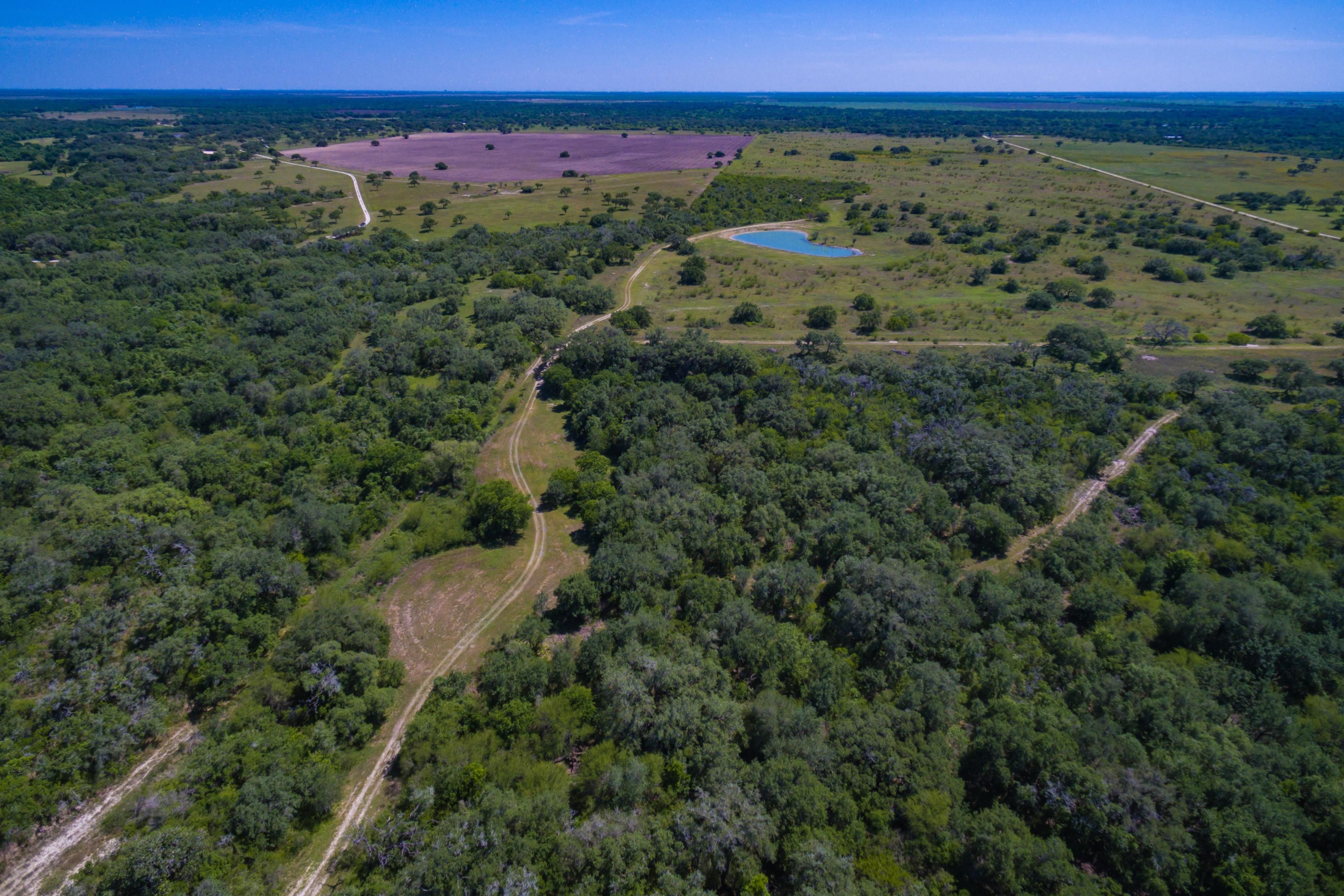 1,303 acres in Bee County, Texas