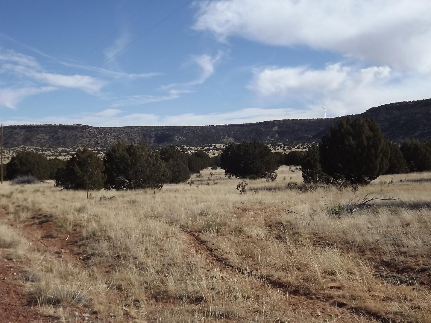 140.05 acres in Guadalupe County, New Mexico