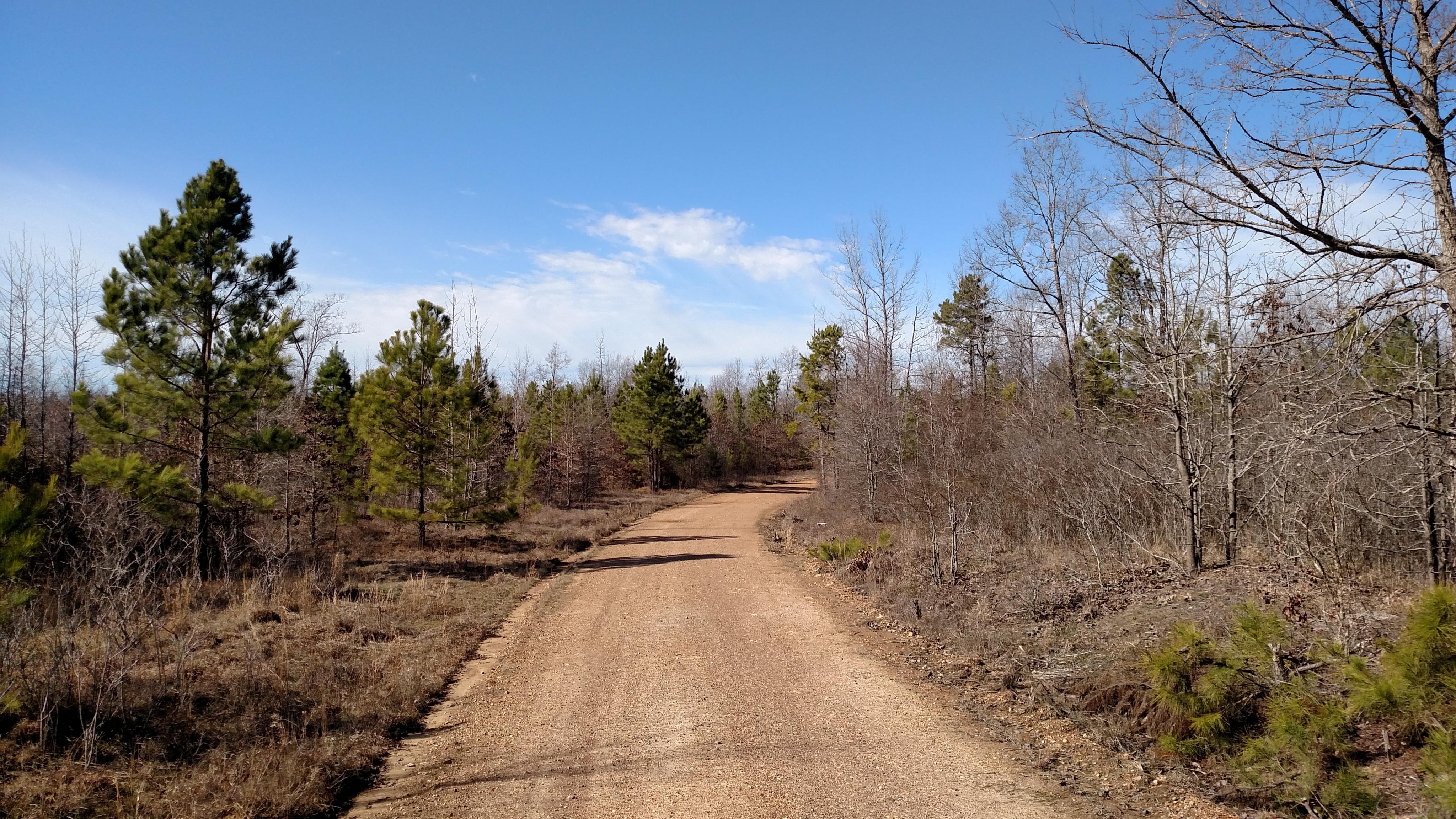 330 acres in Pike County, Arkansas