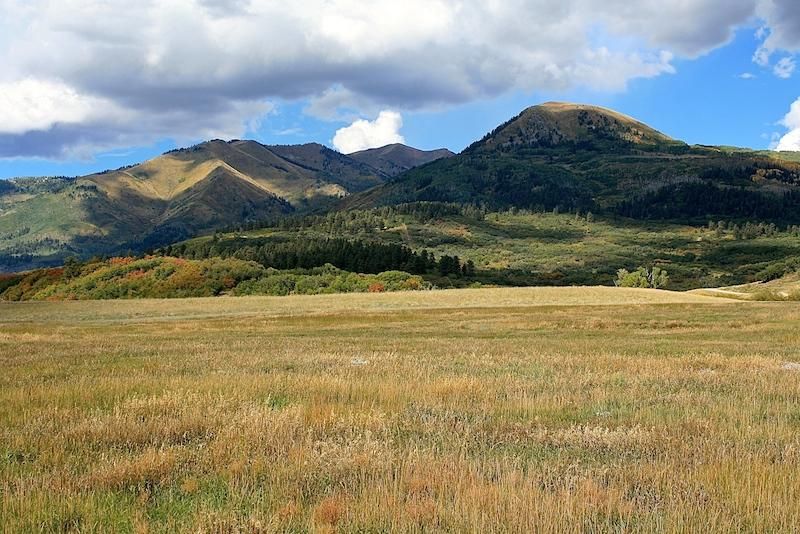 1,769 acres in La Plata County, Colorado