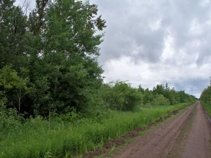 20 acres in Koochiching County, Minnesota