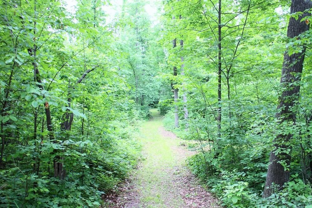 58.00 acres in Ingham County, Michigan