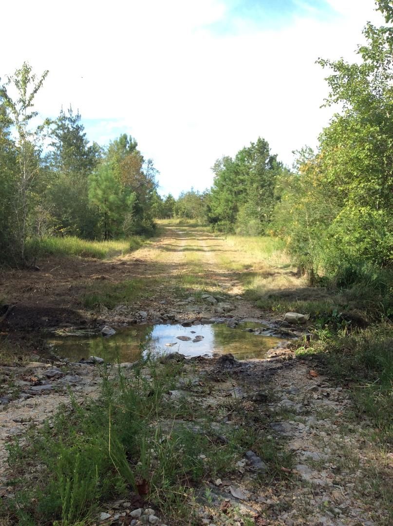 100 acres in Forrest County, Mississippi