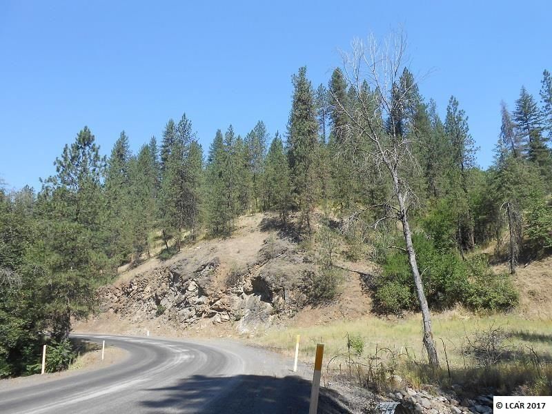 29 acres in Lewis County, Idaho