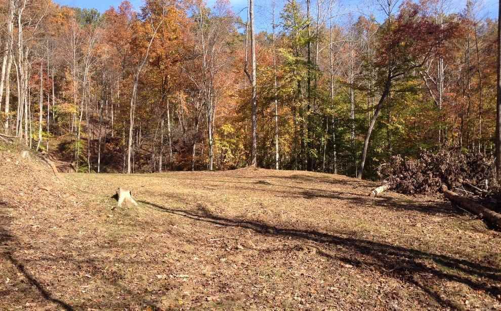 54 acres in Cabell County, West Virginia
