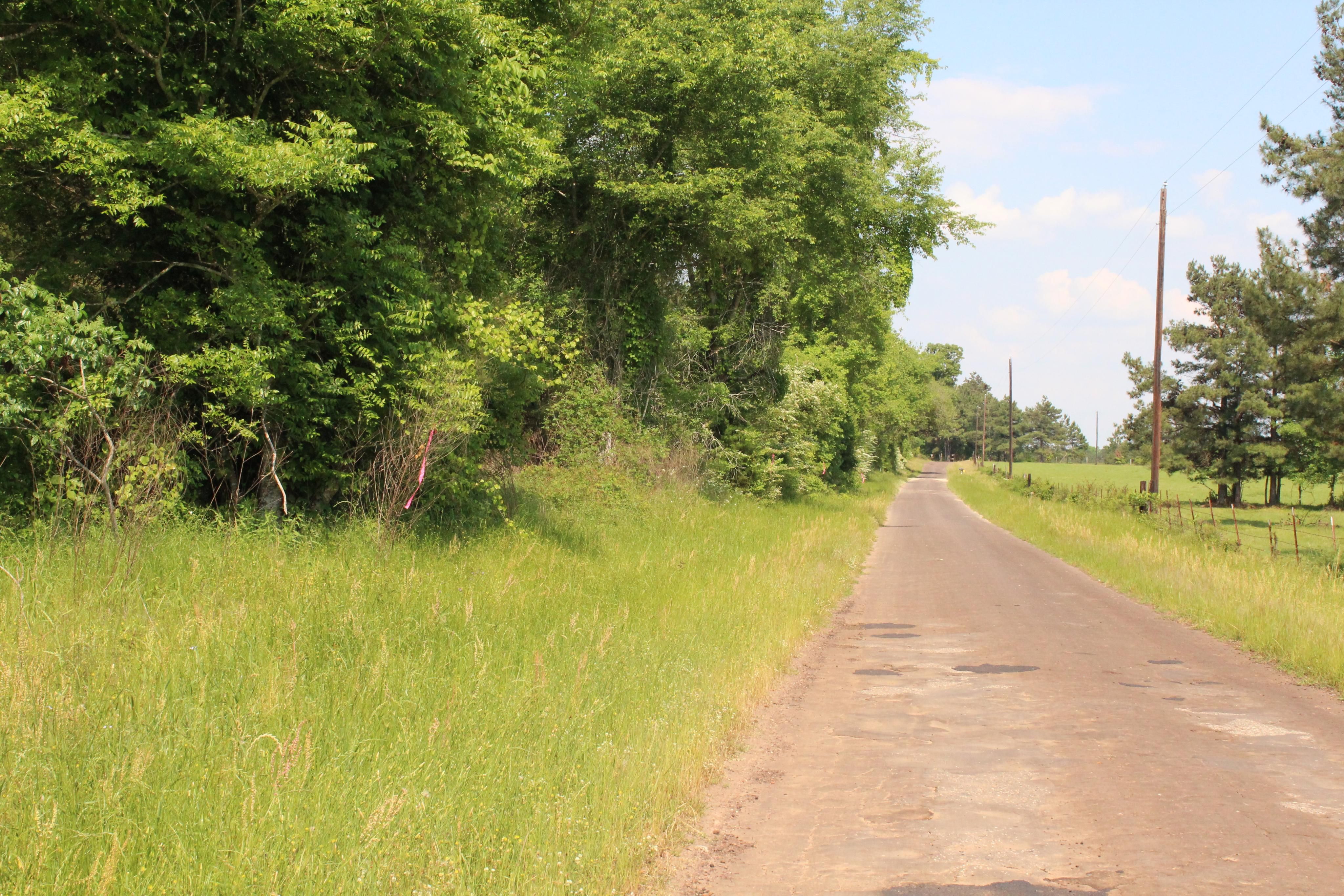 41.44 acres in Cass County, Texas