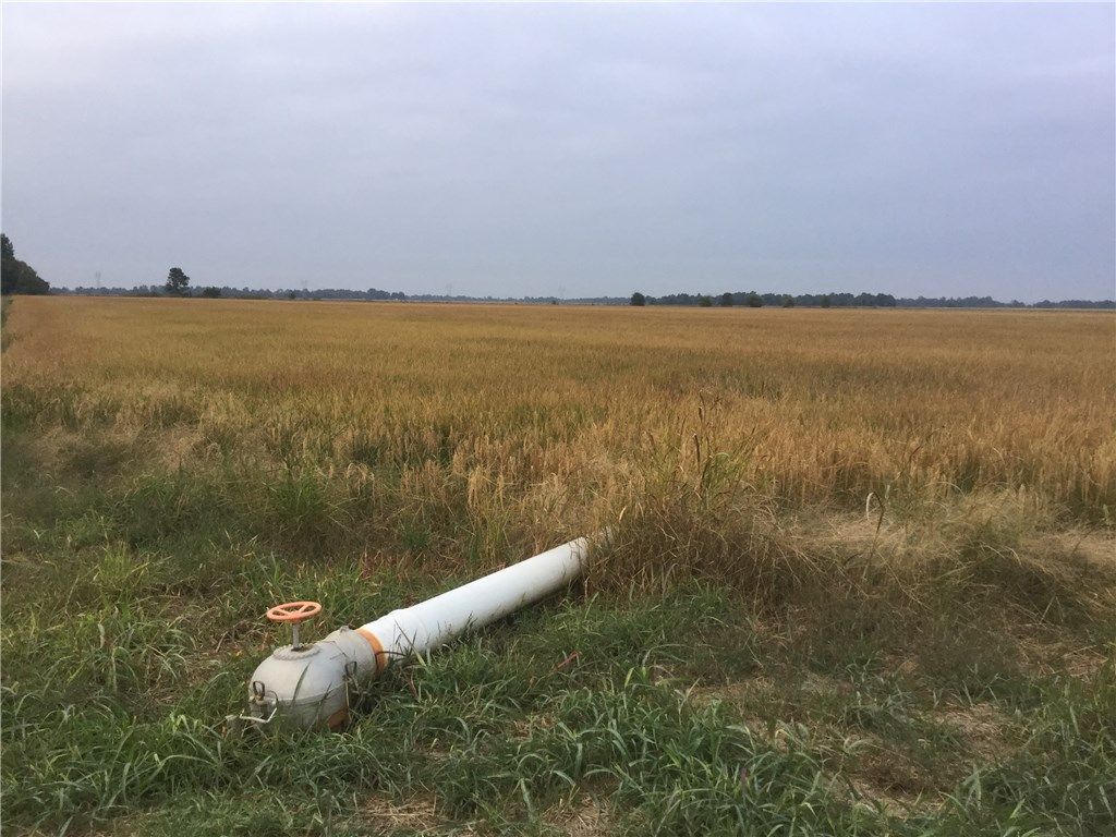 2,500 acres in Saint Francis County, Arkansas