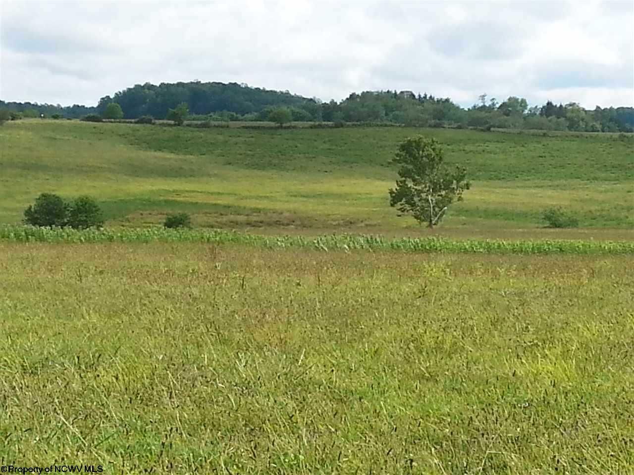 13.5 acres in Upshur County, West Virginia