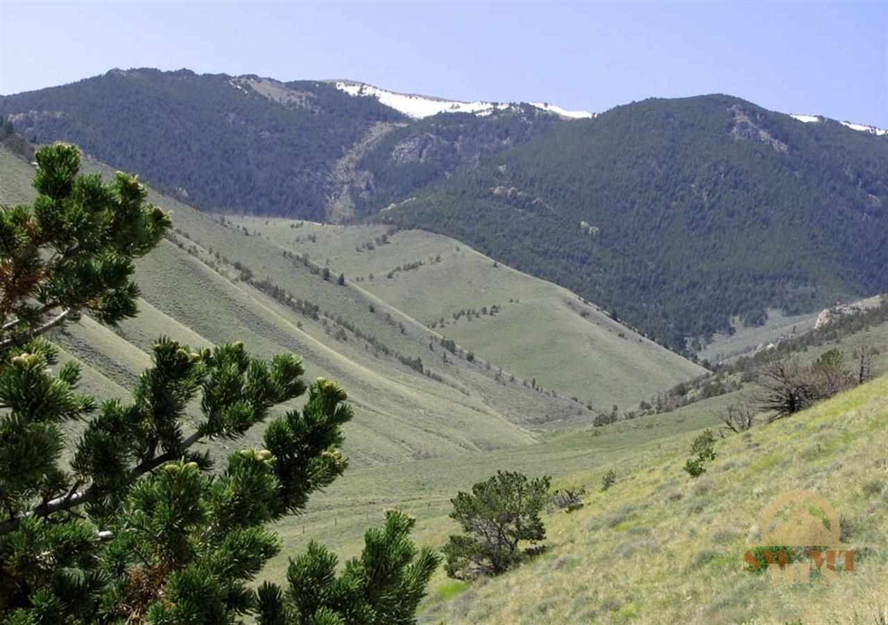 20.02 acres in Carbon County, Montana