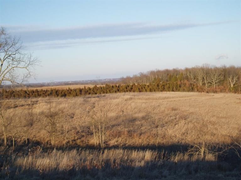 12.00 acres in Robertson County, Kentucky