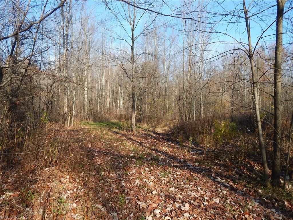 5 acres in Trumbull County, Ohio